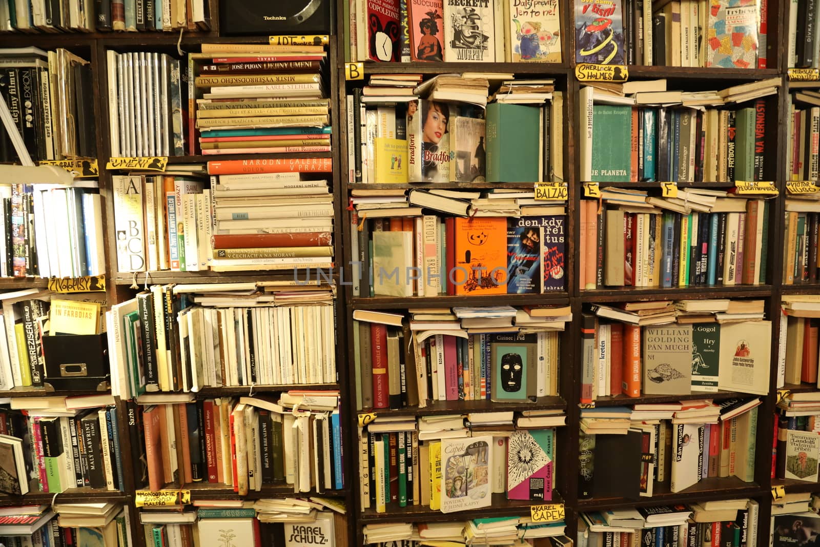 Books in the Library