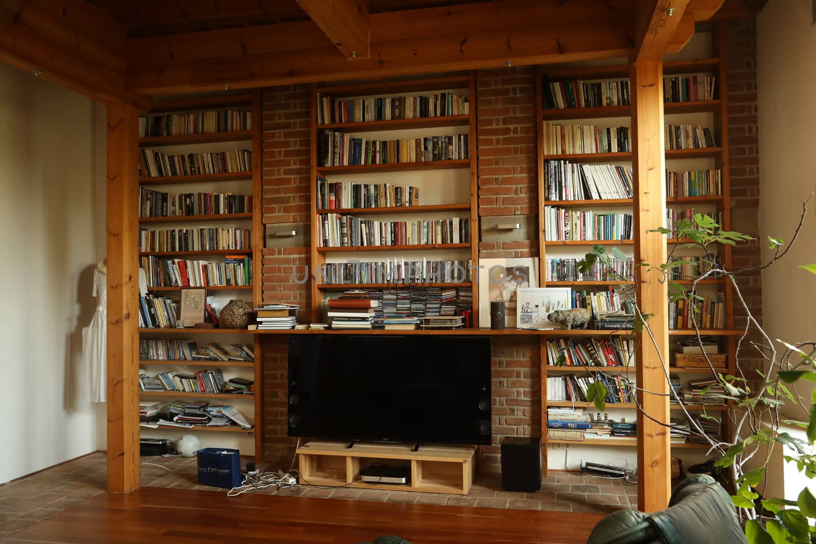 Books in the Library