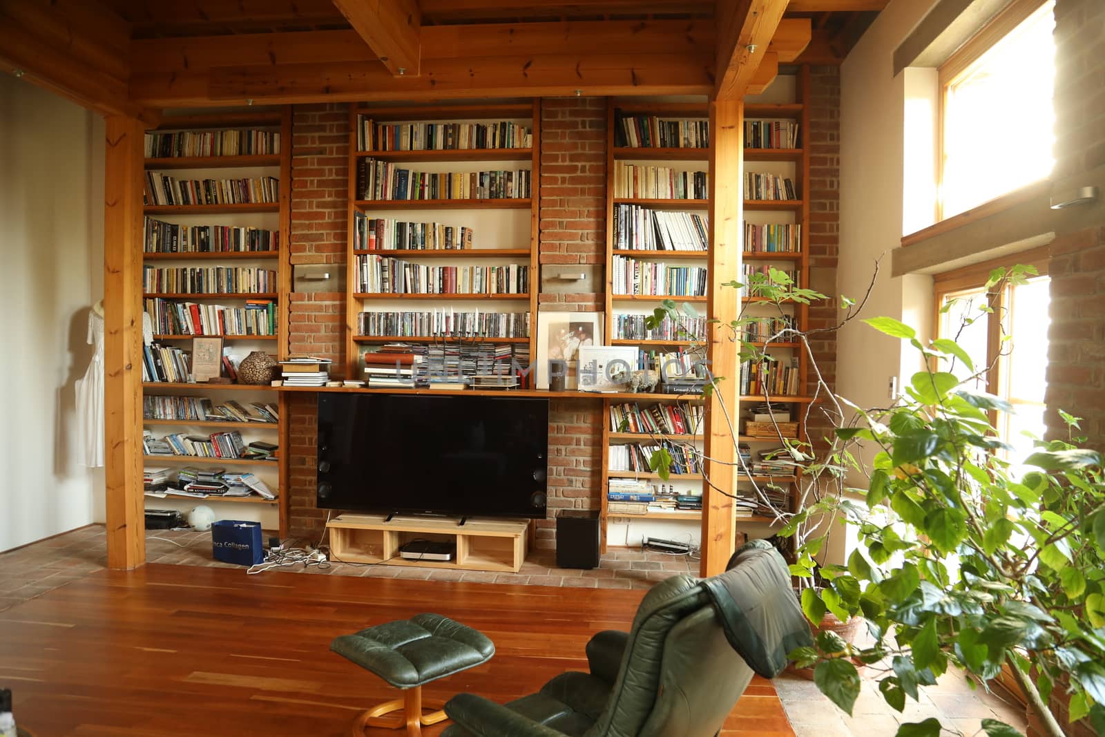 Books in the Library