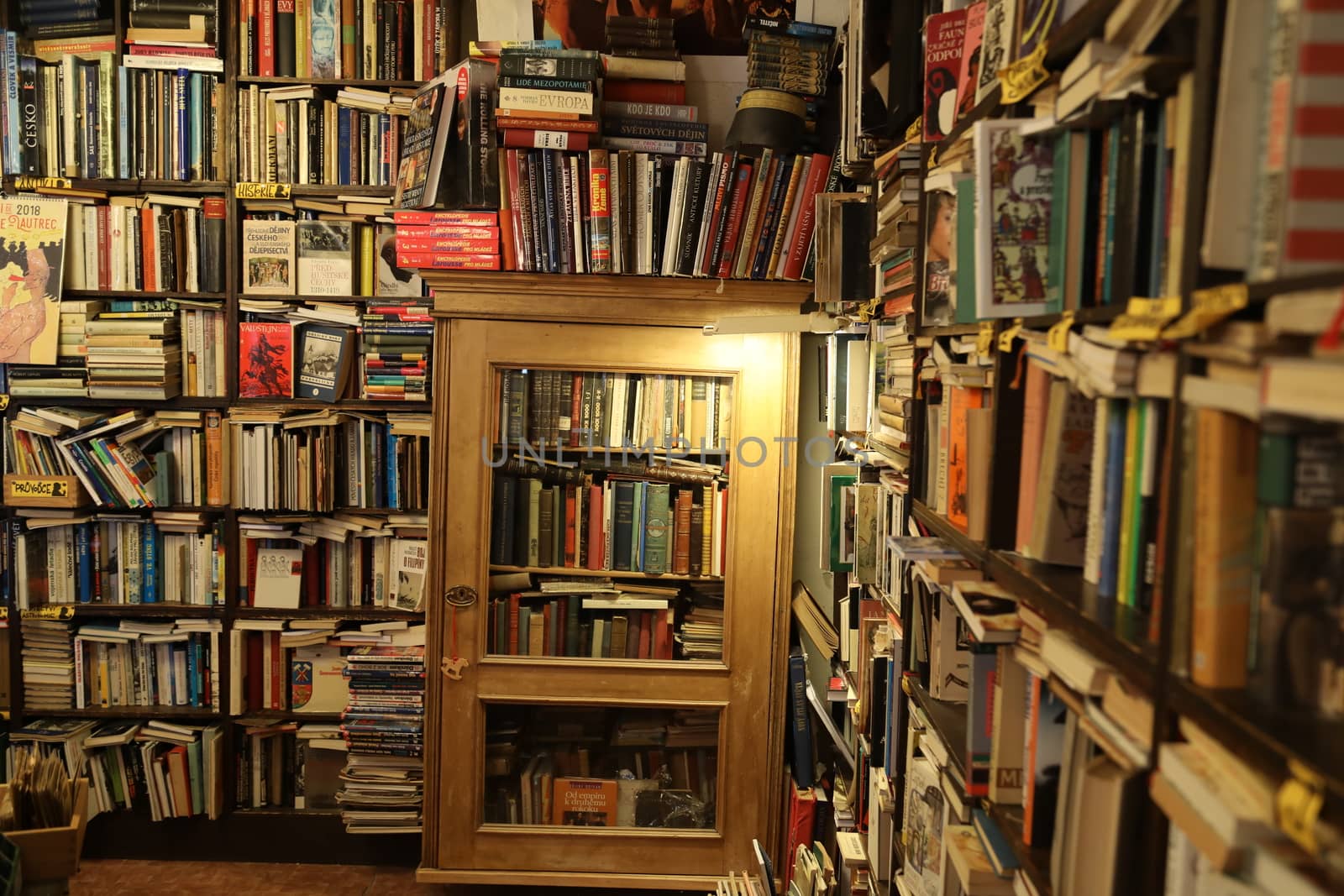 Books in the Library