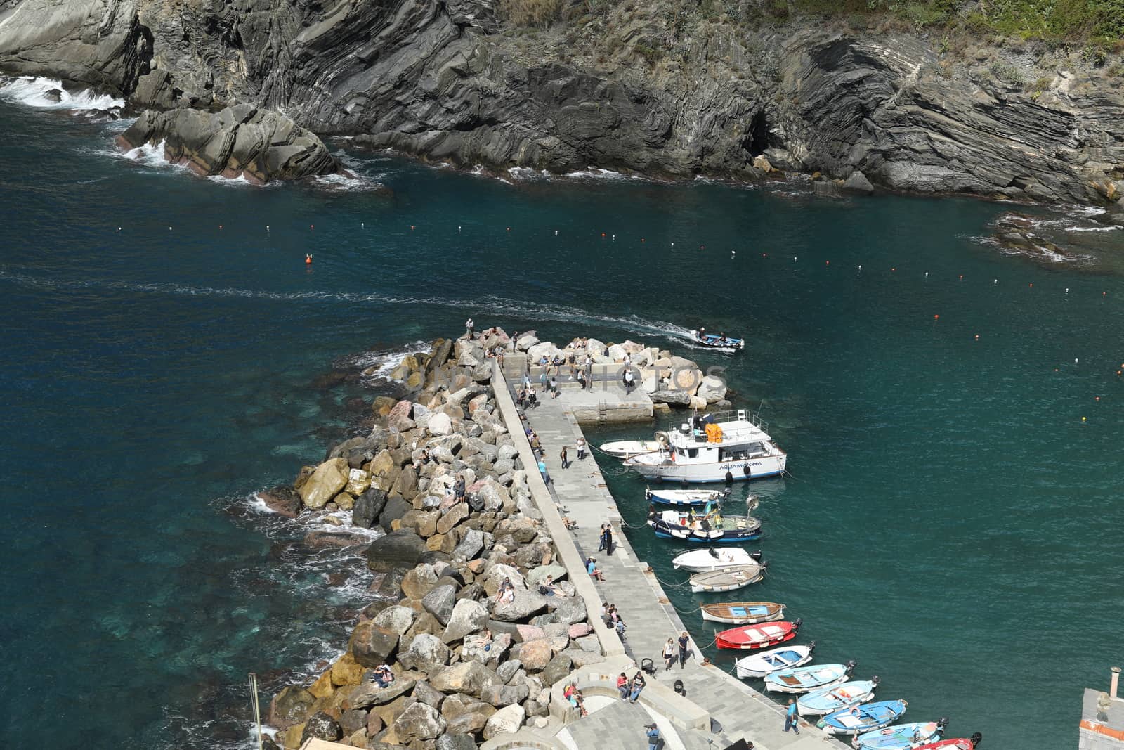 Tourist boat Europe
