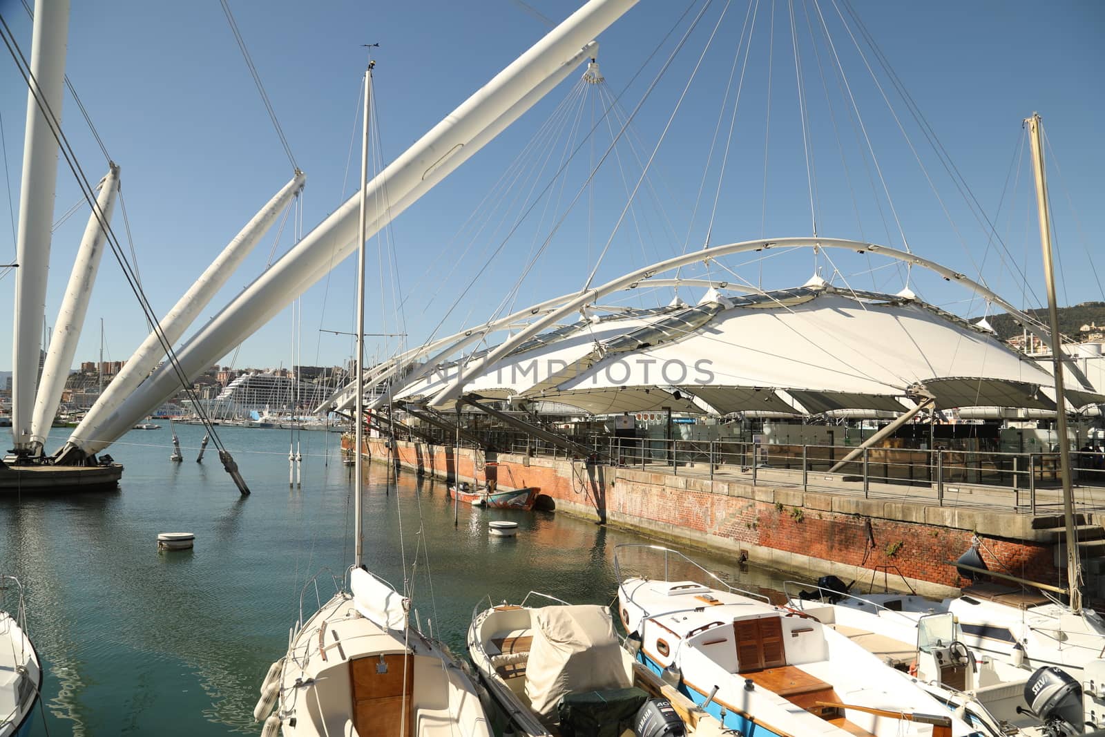 Tourist boat Europe