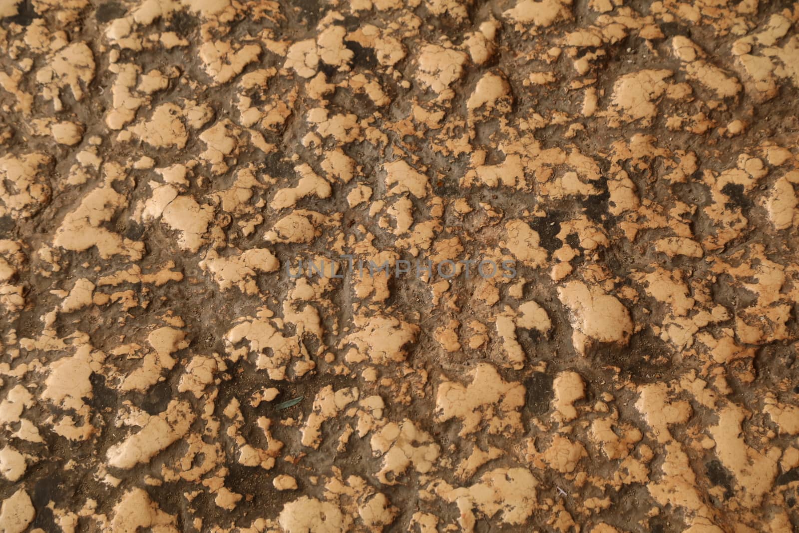 Vintage Wall Texture