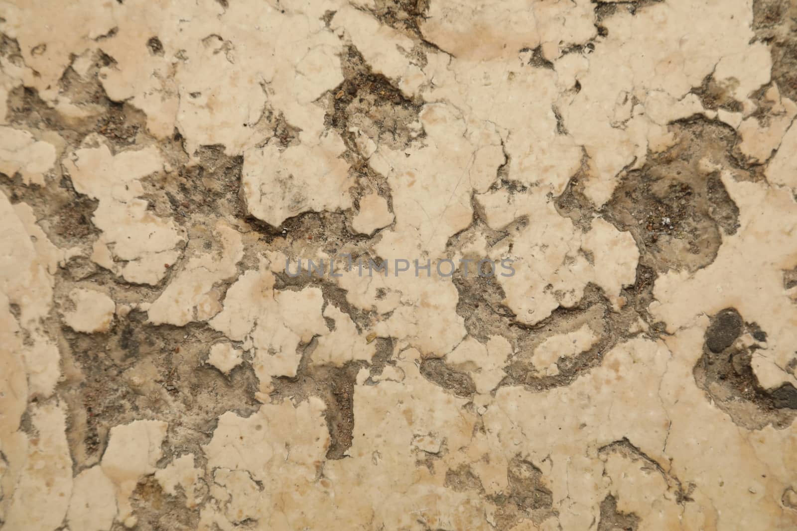 vintage wall Texture