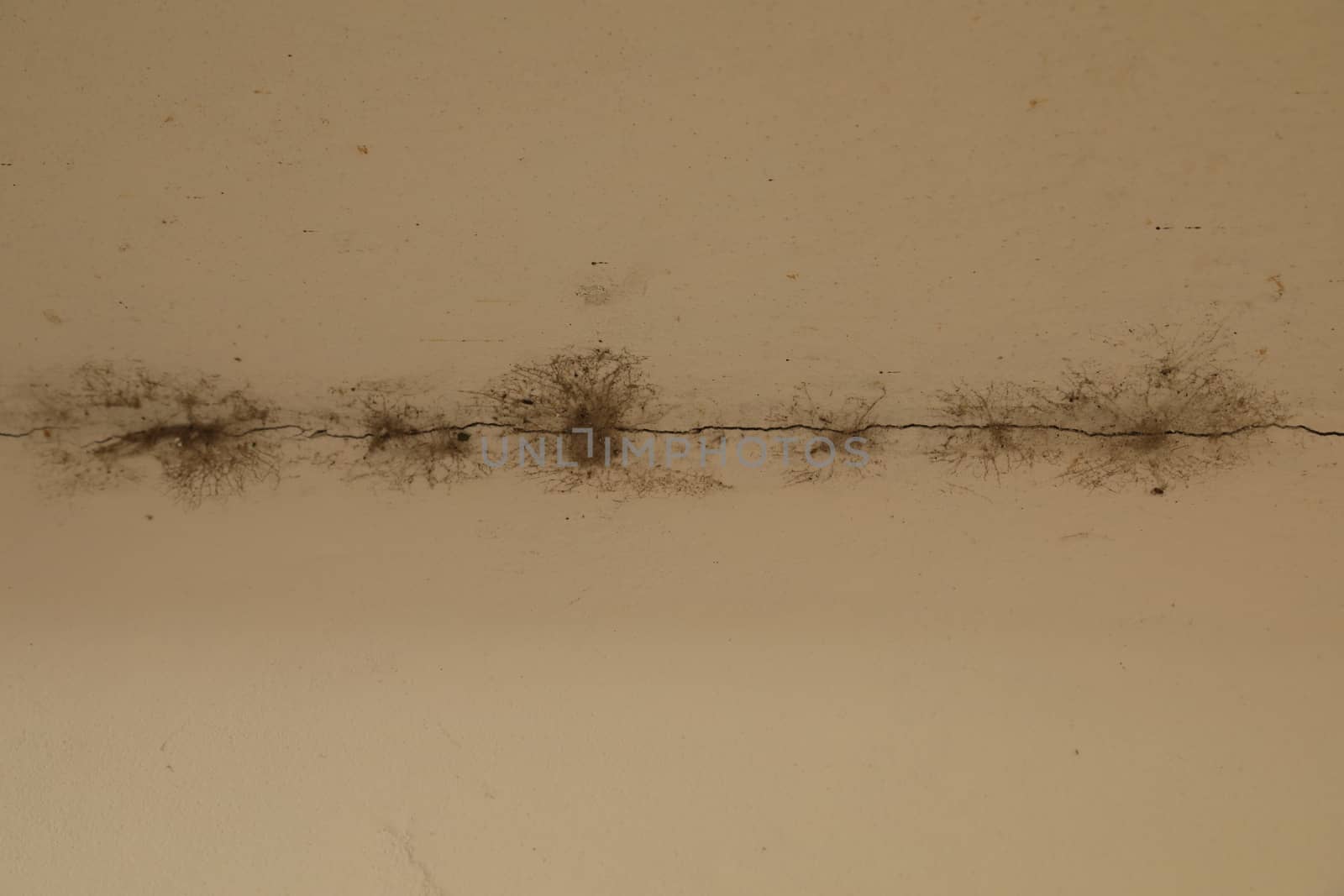 vintage wall Texture