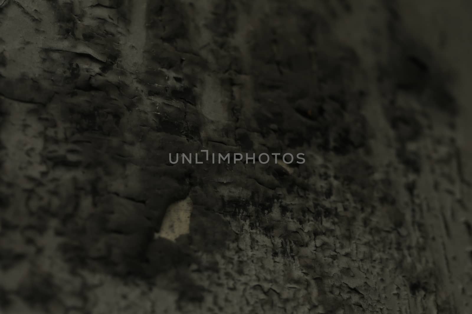 vintage wall Texture