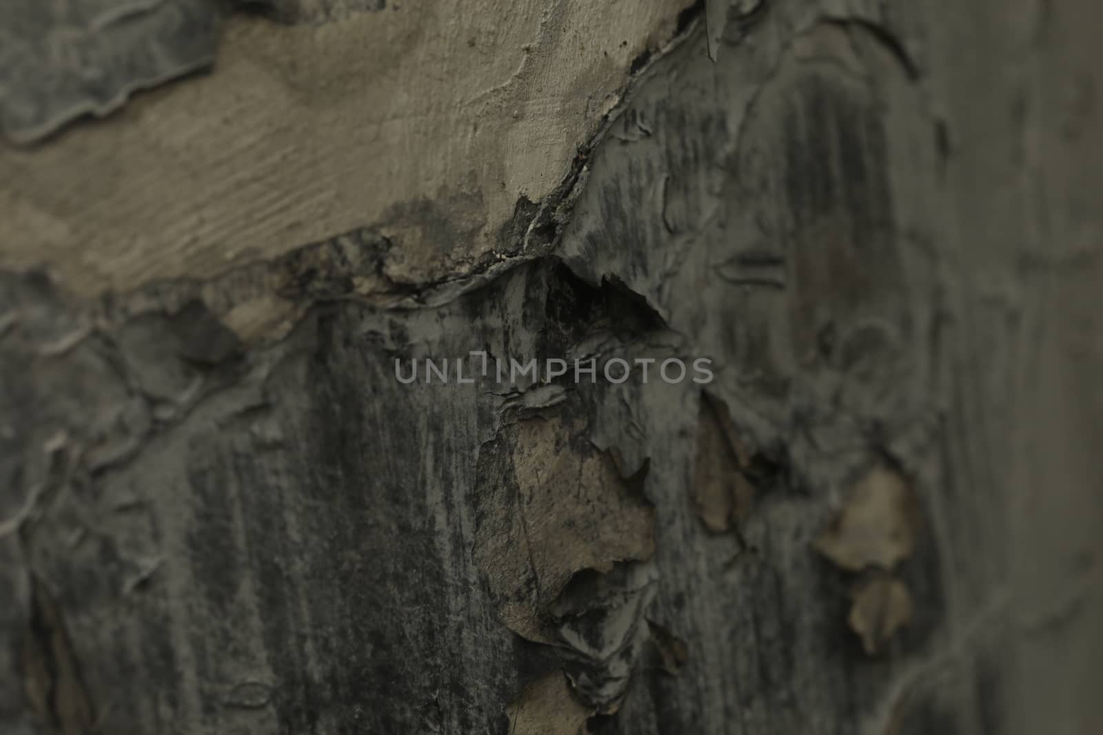 vintage wall Texture