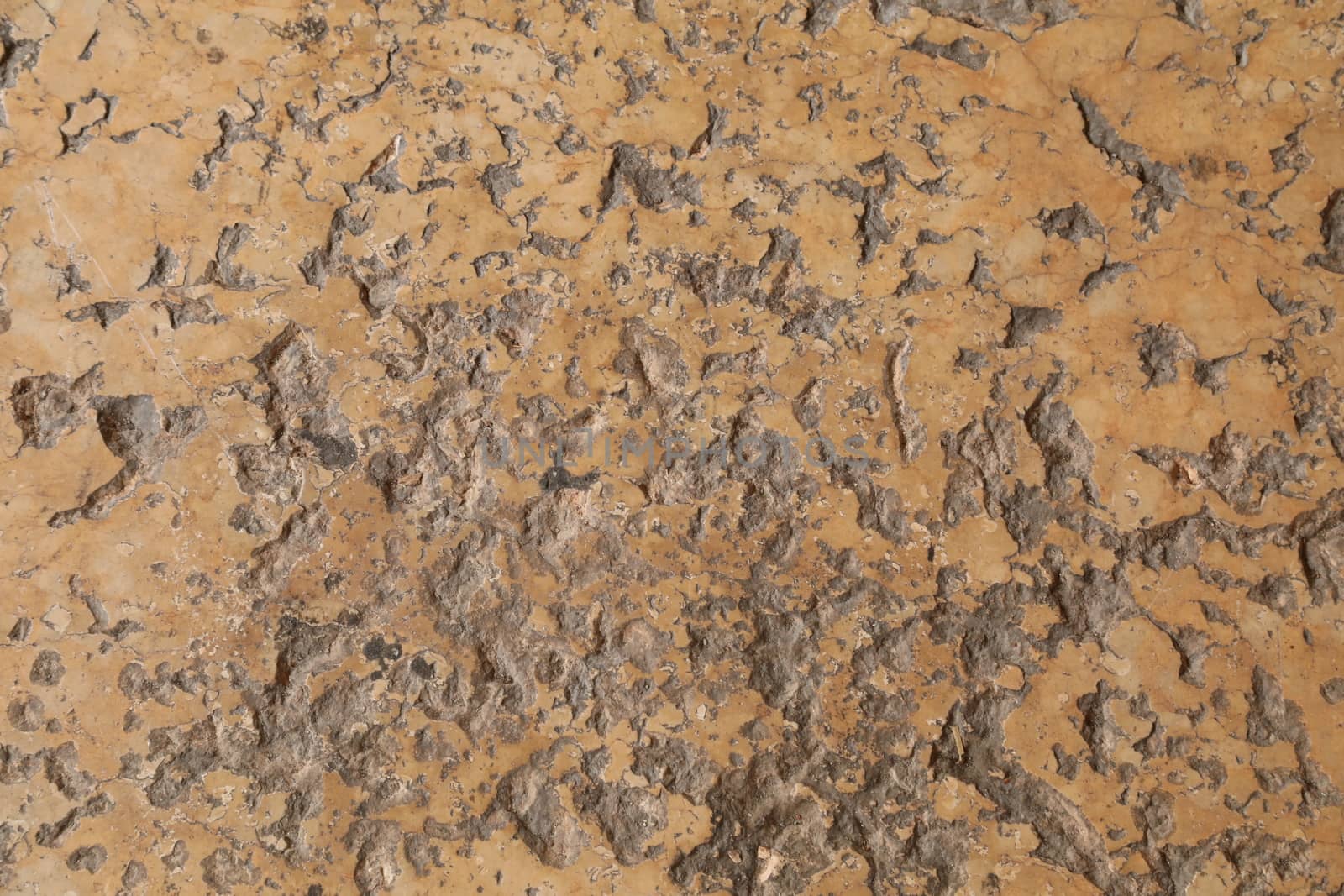 vintage wall Texture