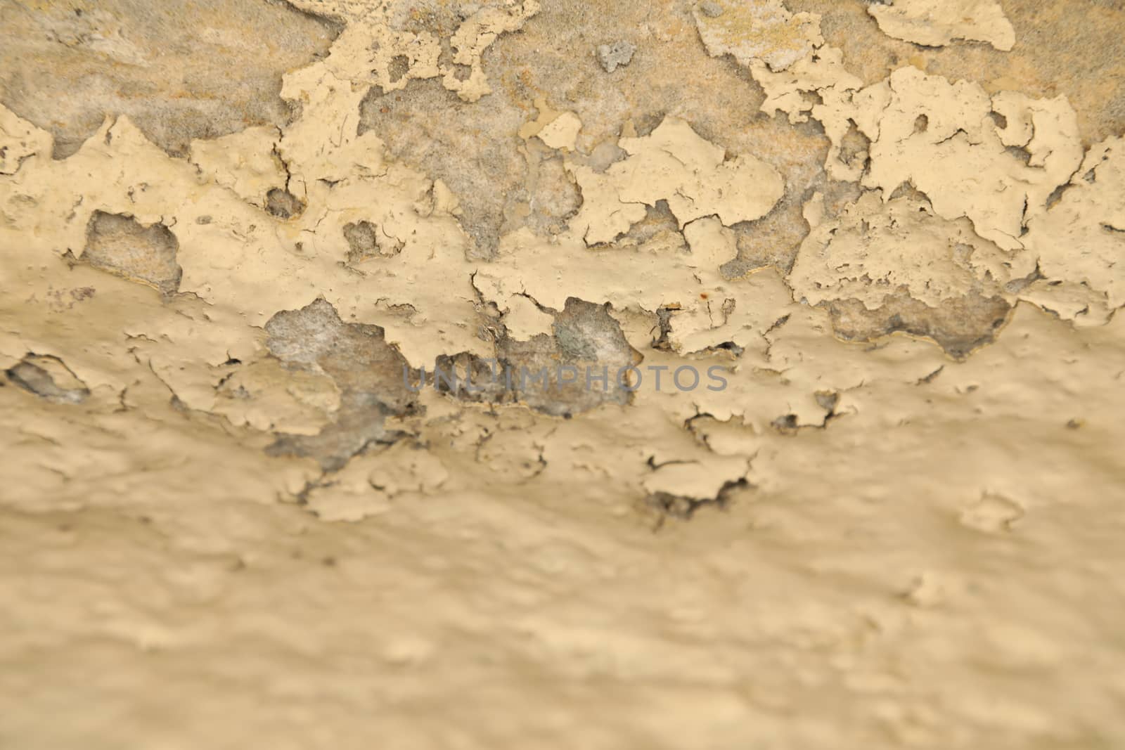 vintage wall Texture