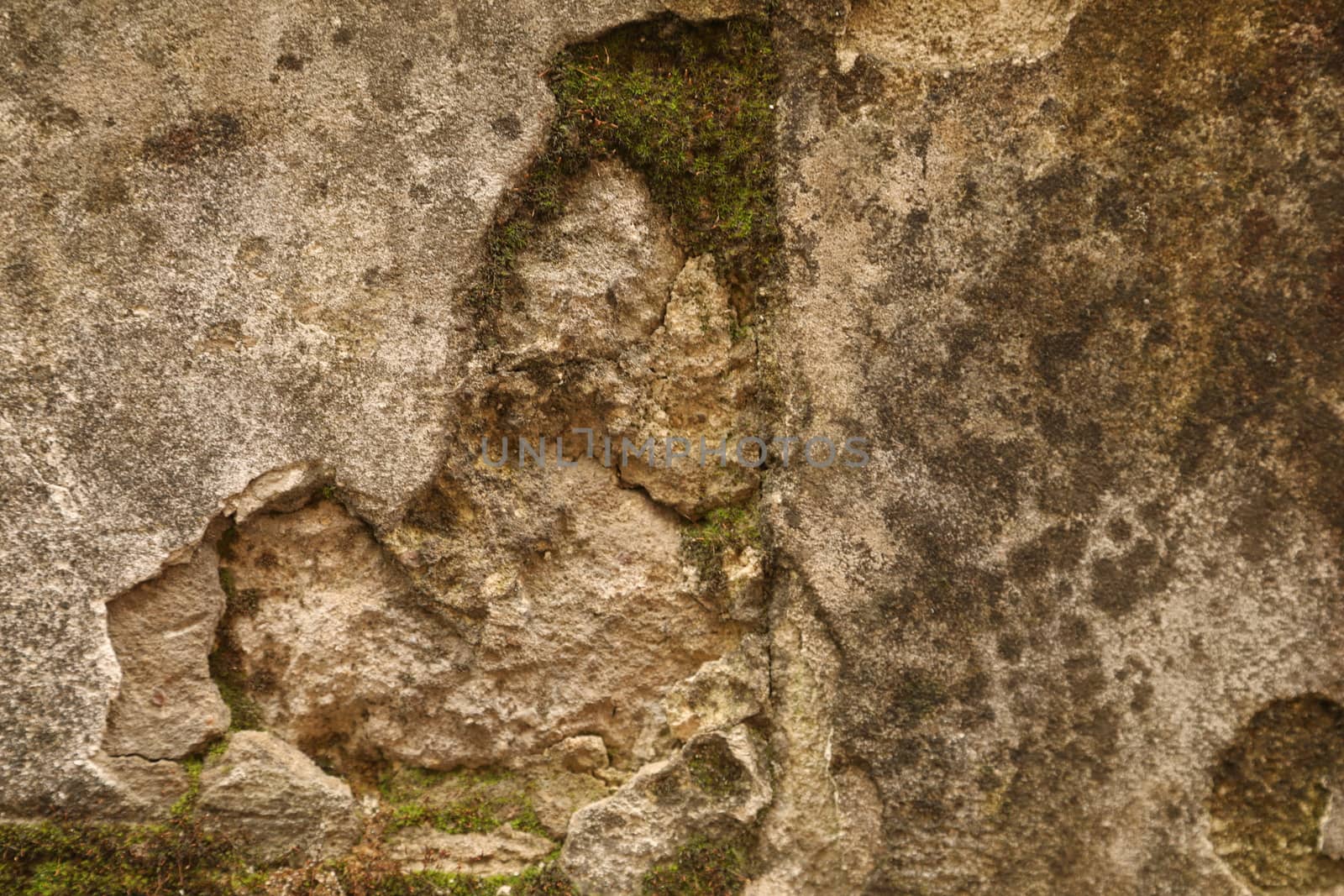 old stone wall Texture