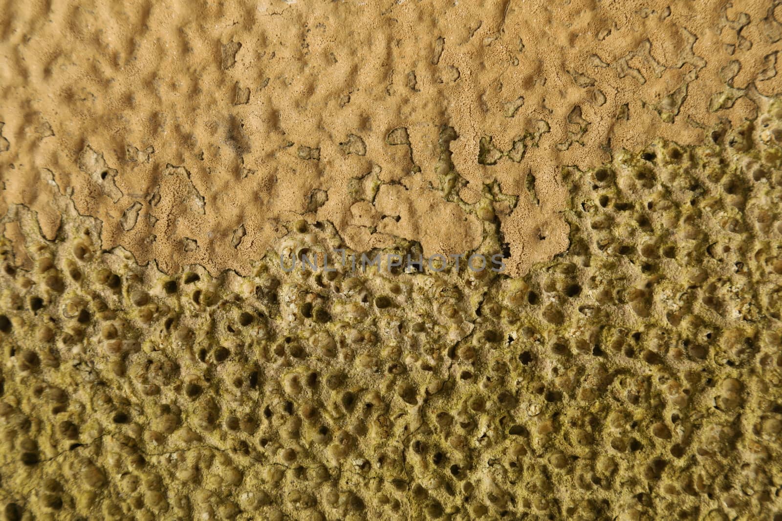 old stone wall Texture