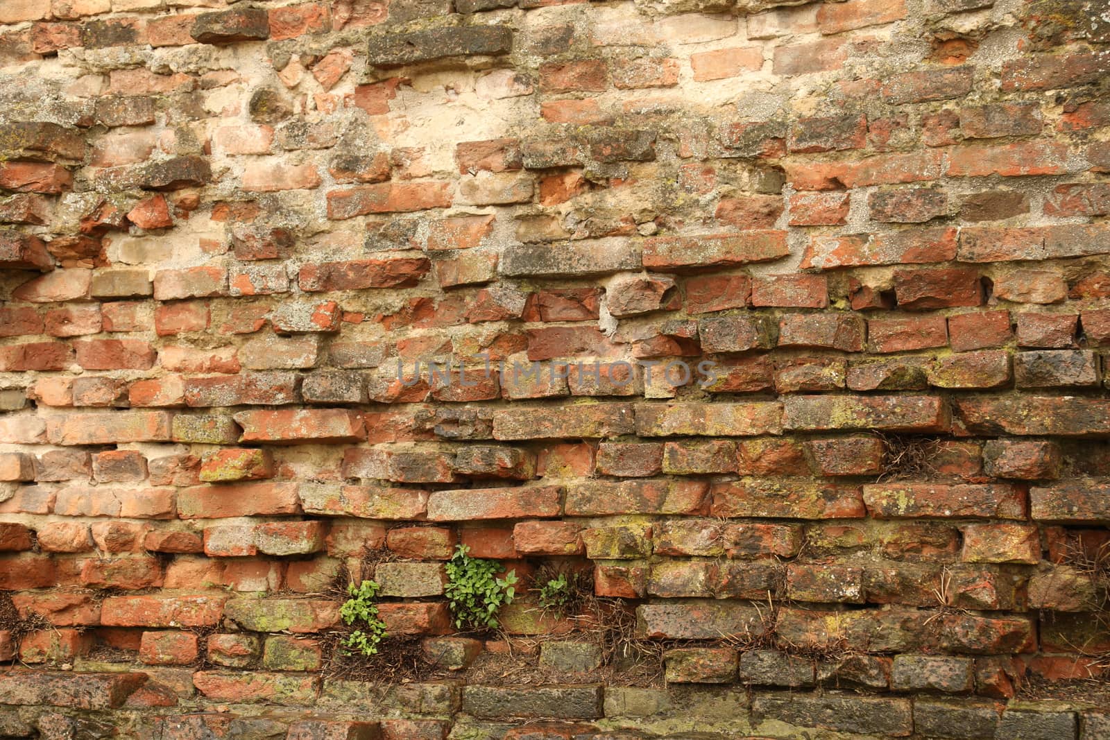 old stone wall Texture