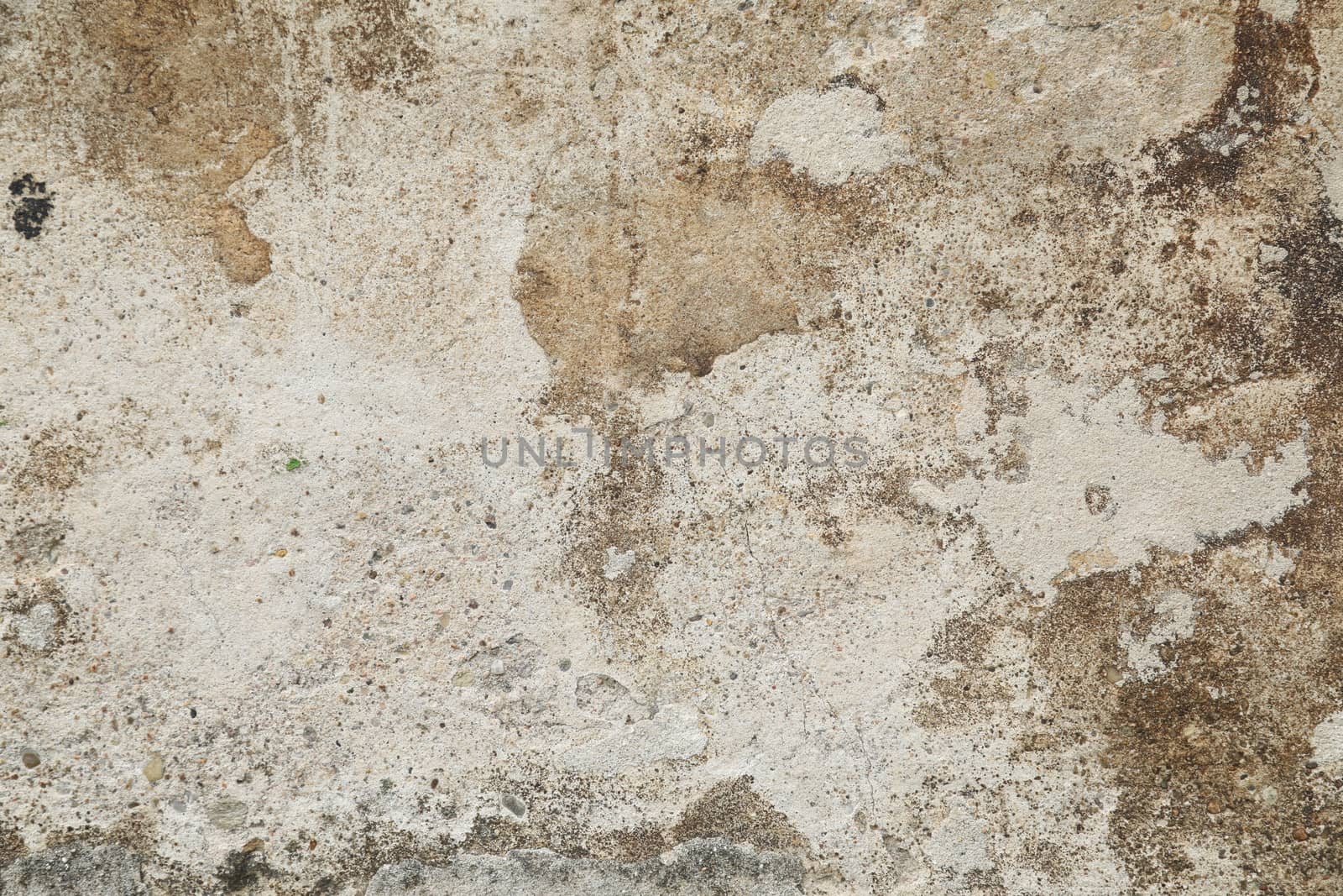 old stone wall Texture