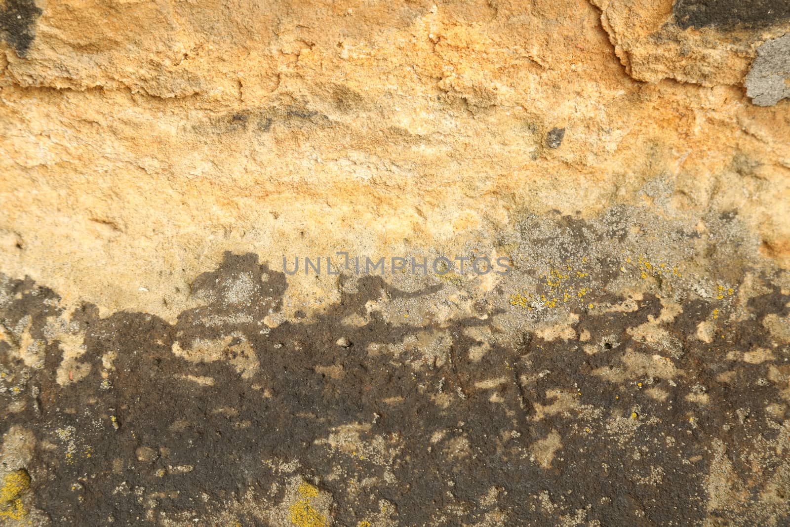 old stone wall Texture