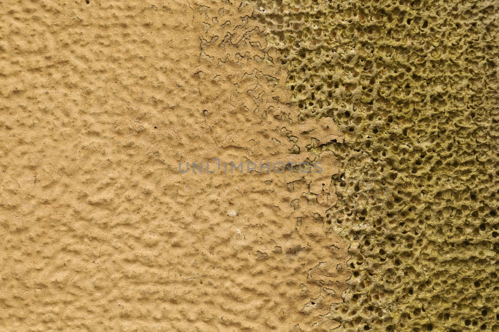 old stone wall Texture