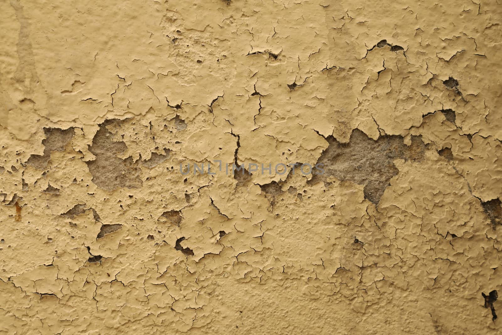 old stone wall Texture