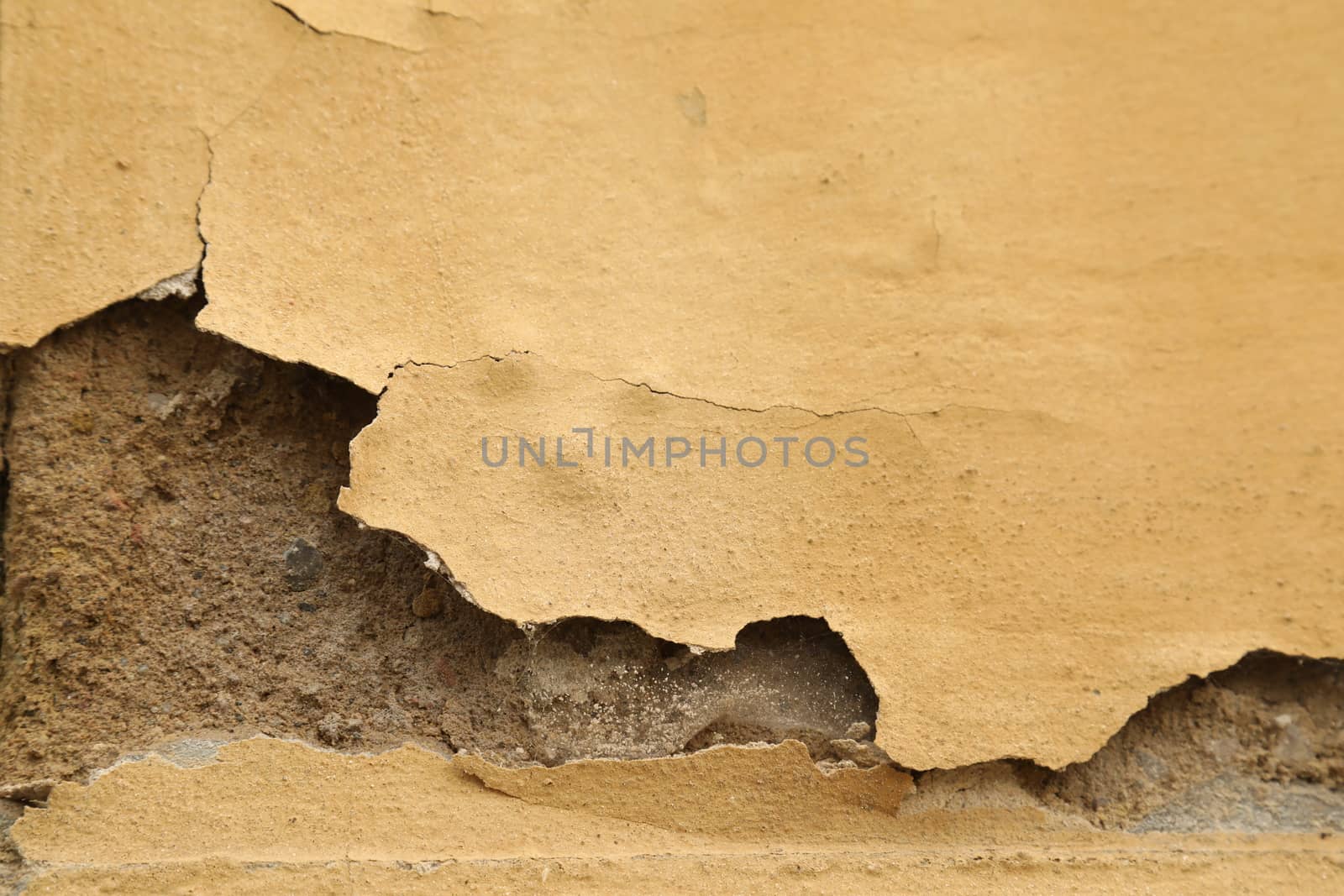 old stone wall Texture