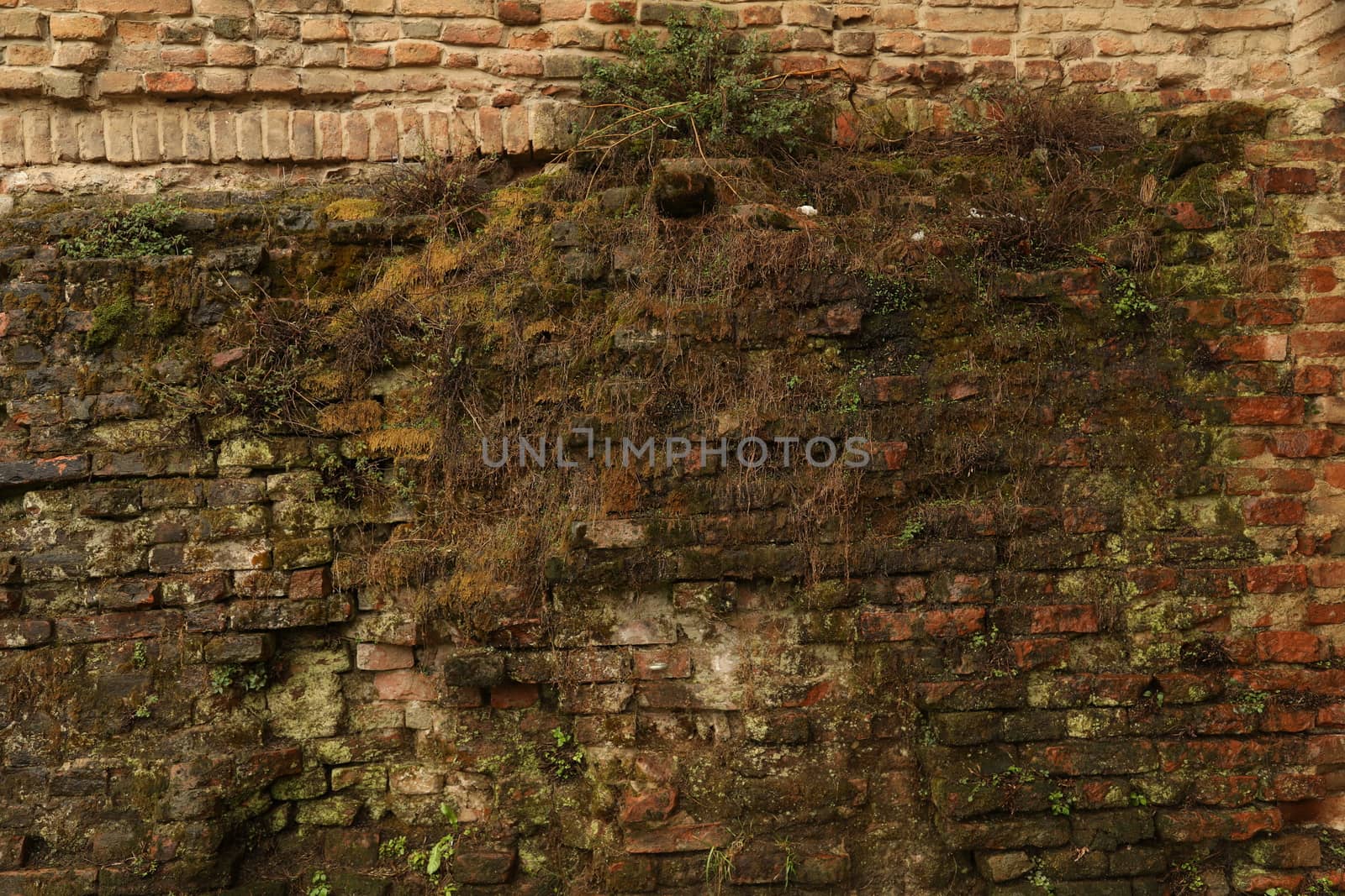old stone wall Texture