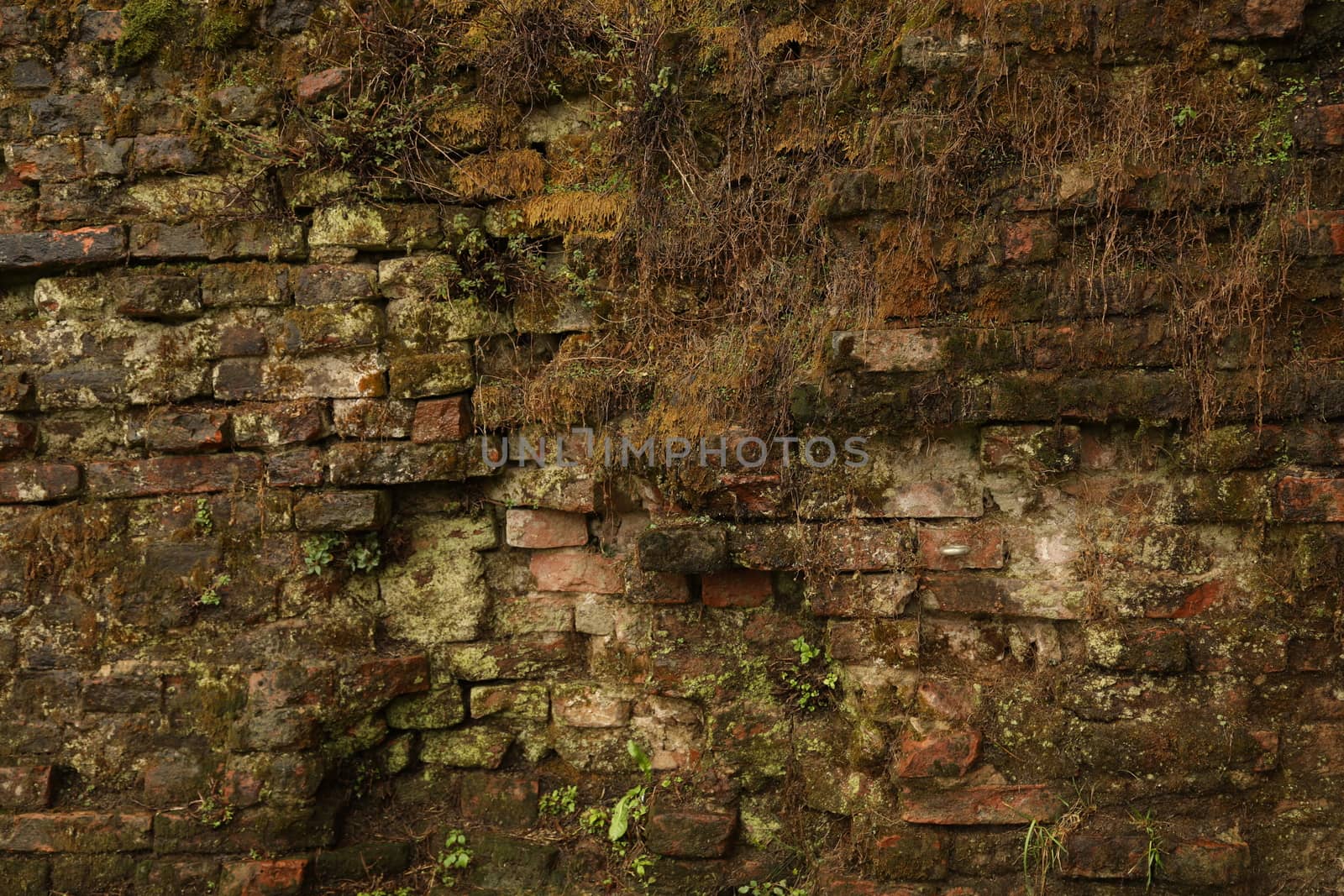 Vintage wall Texture
