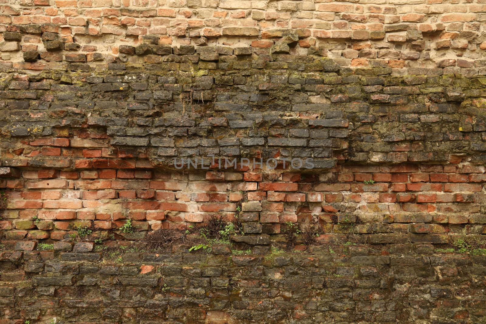 Vintage wall Texture
