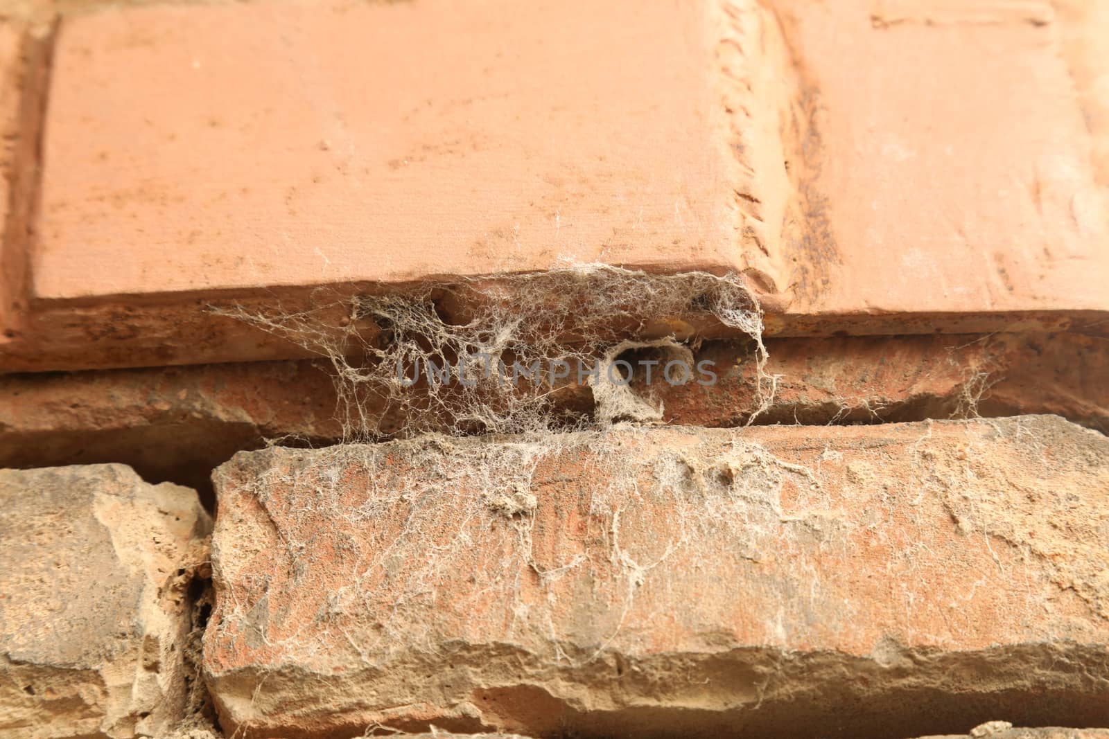 Vintage wall Texture