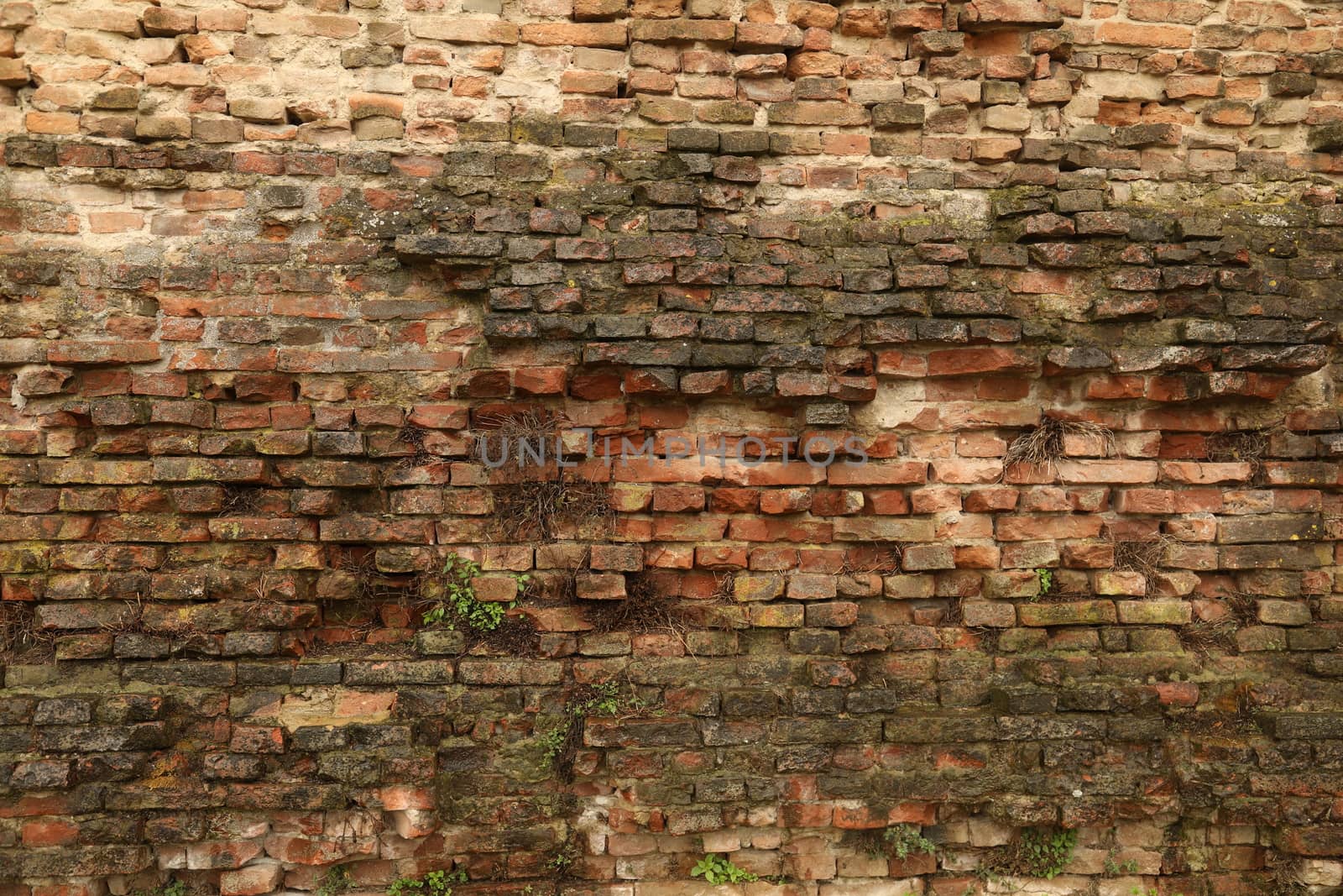 old stone wall Texture