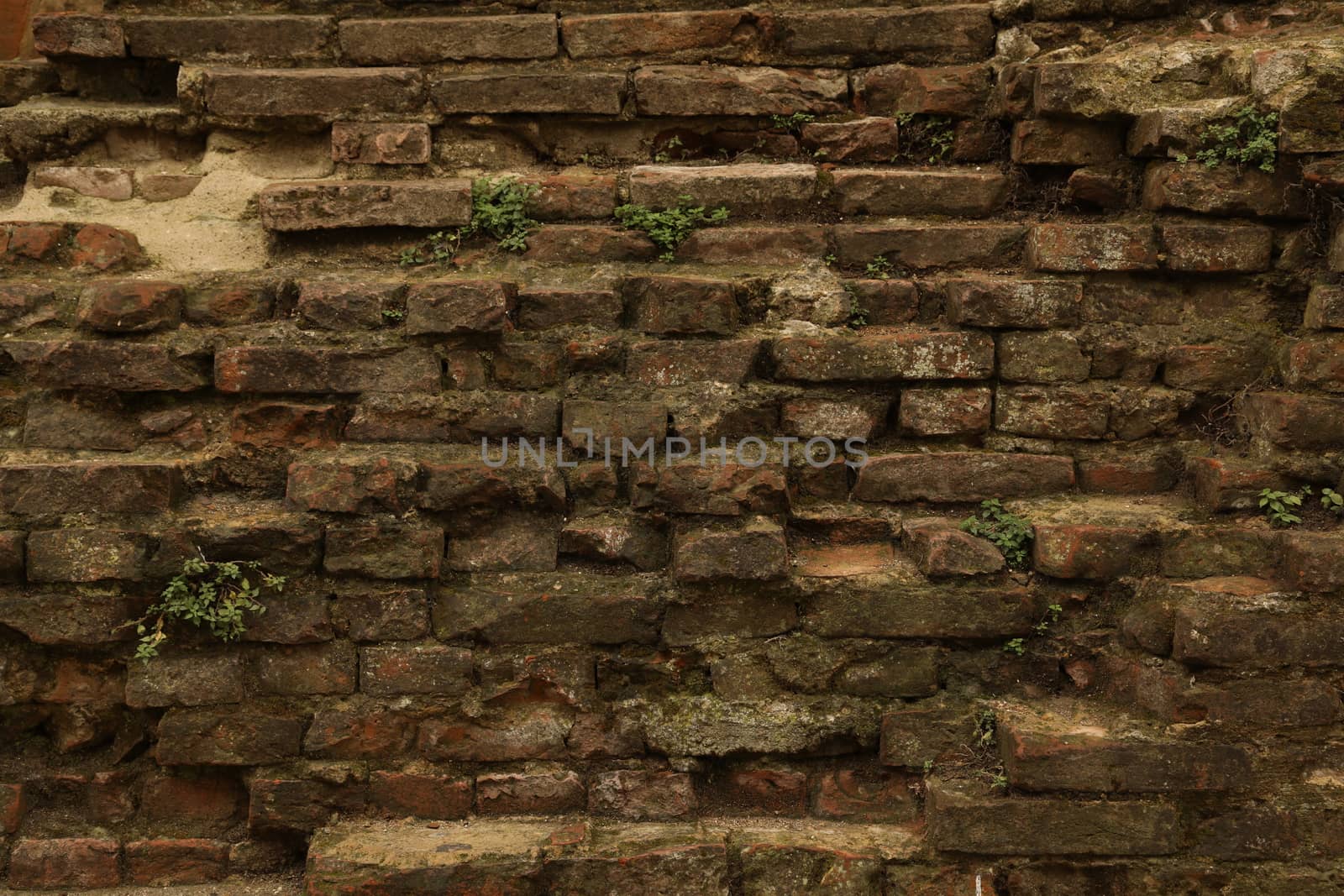 old stone wall Texture