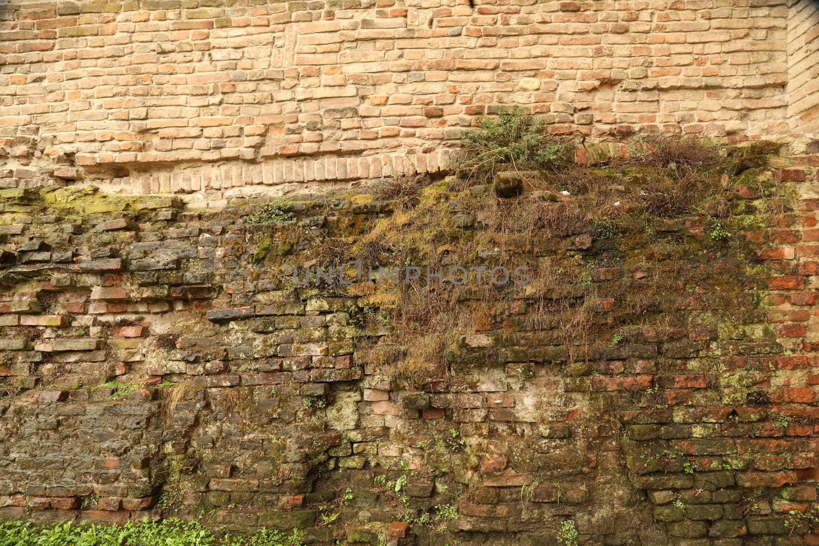 old stone wall Texture