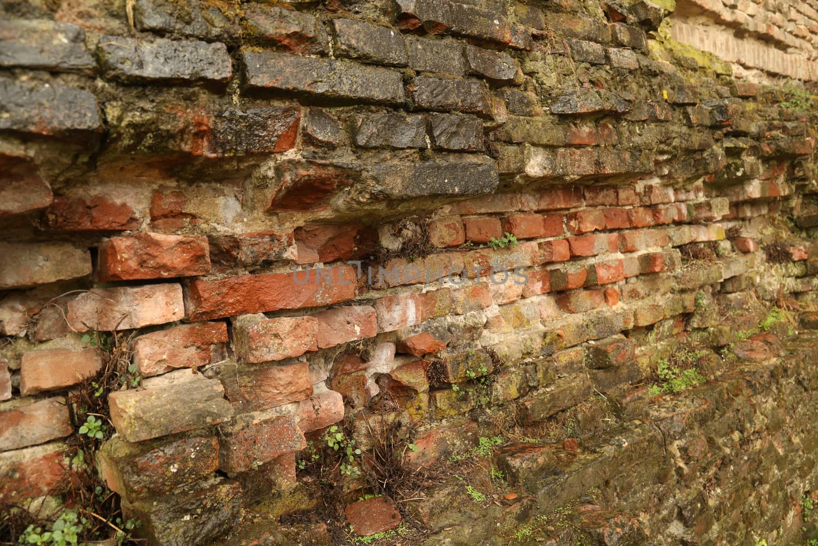 old stone wall Texture