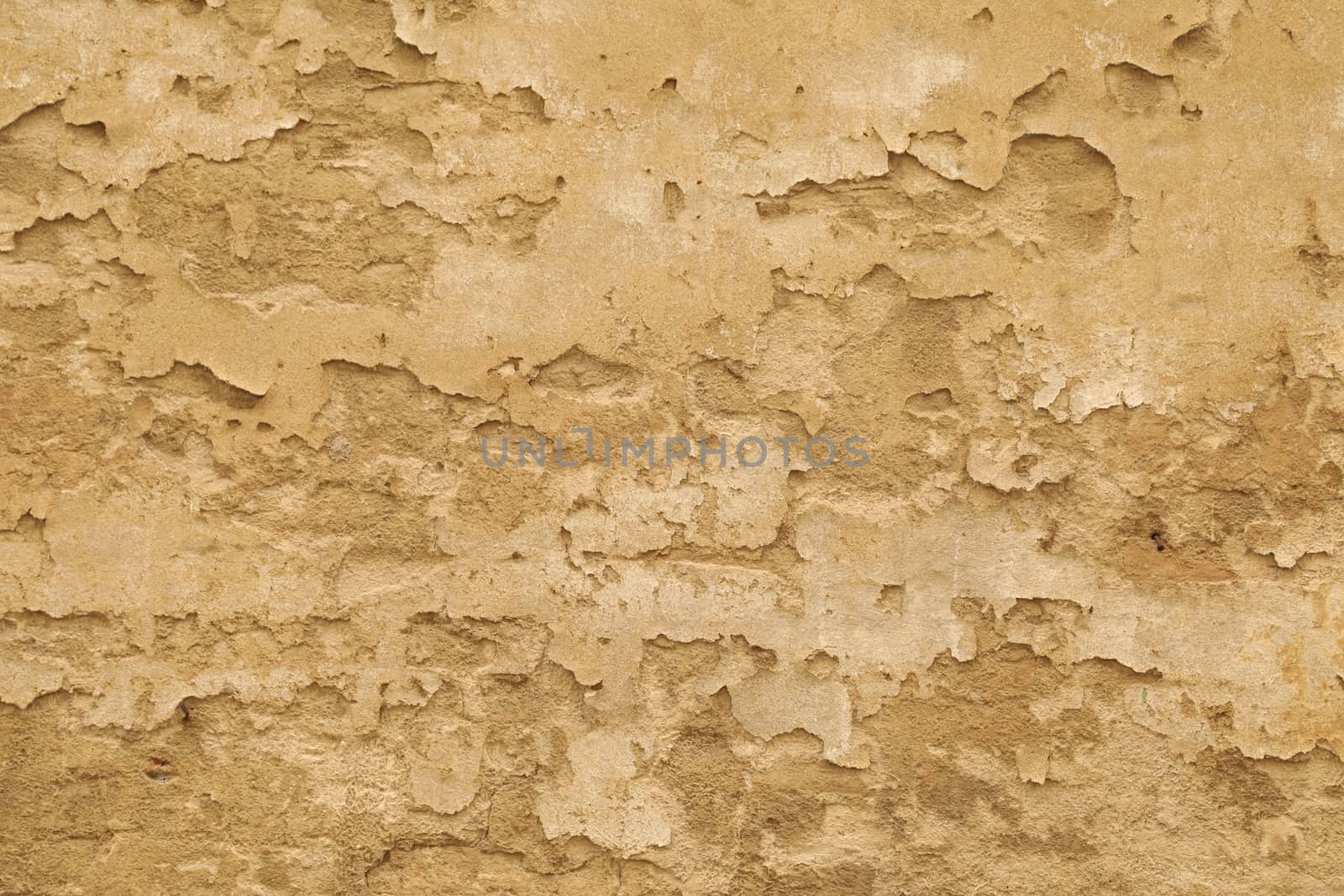old stone wall Texture