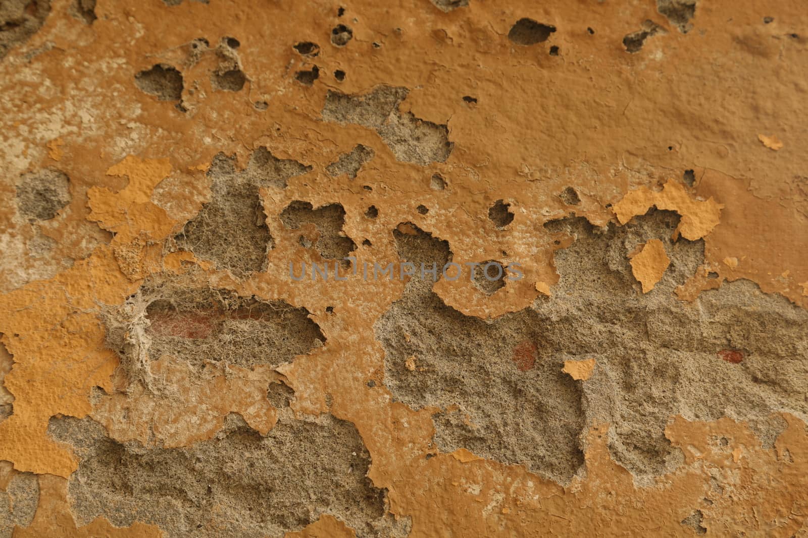 old stone wall Texture