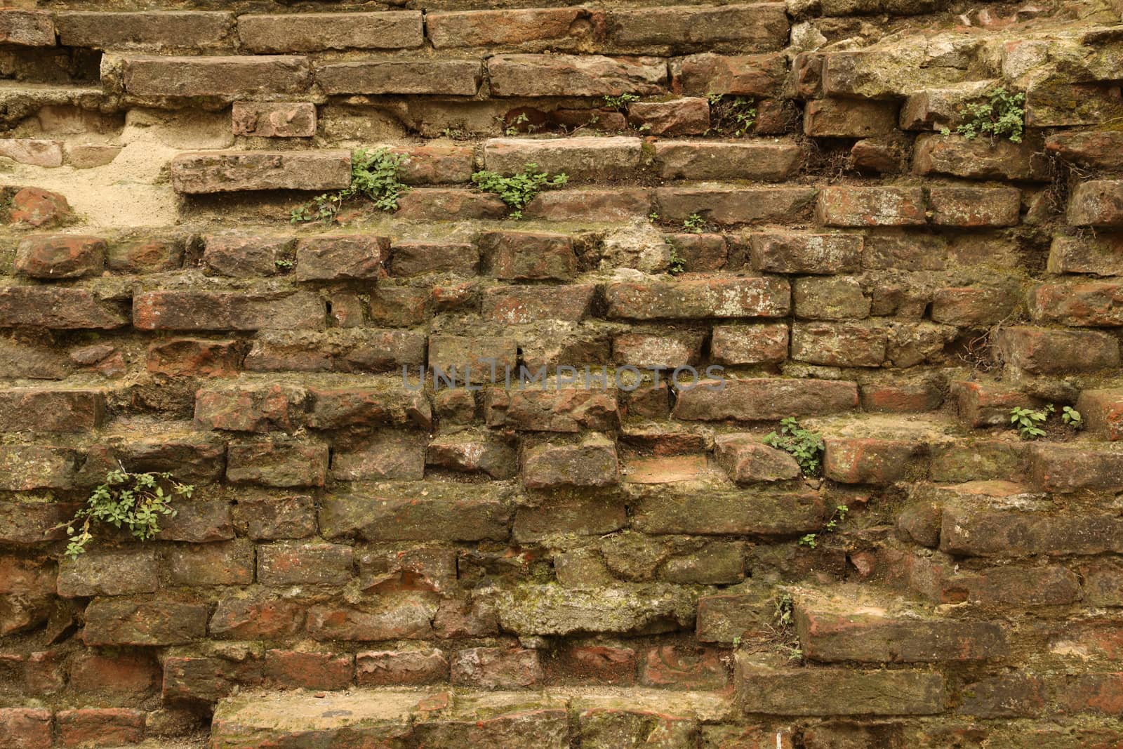old stone wall Texture