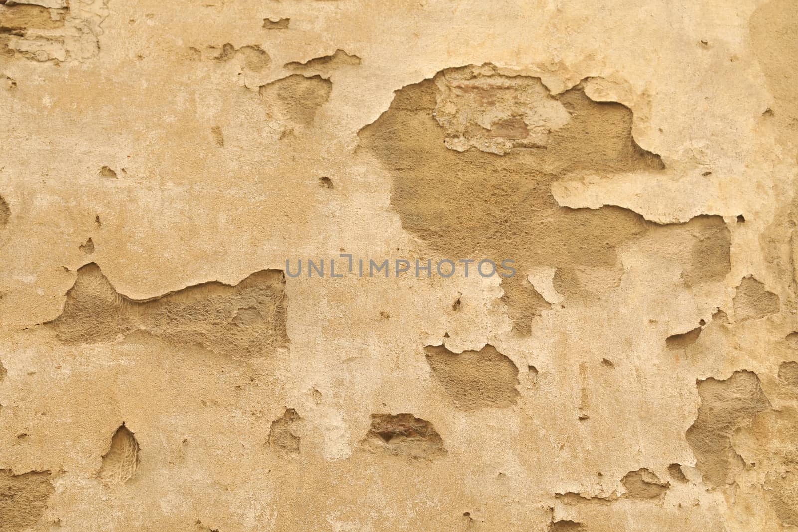 old stone wall Texture