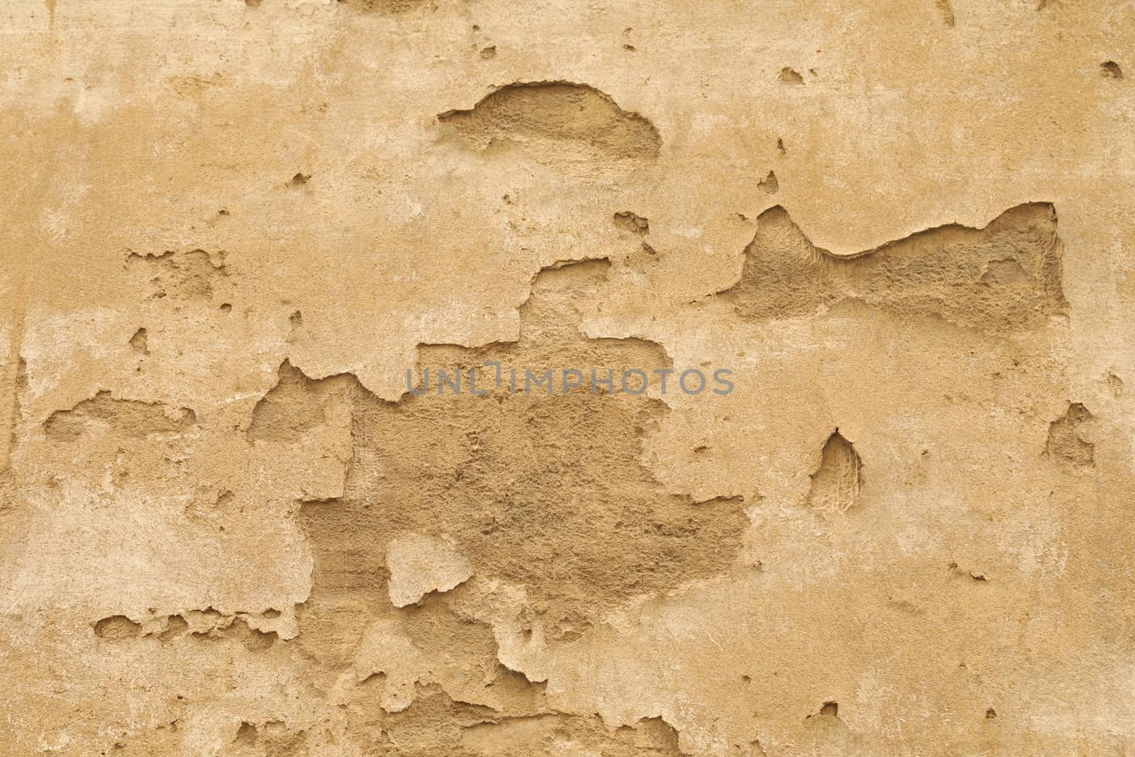 old stone wall Texture
