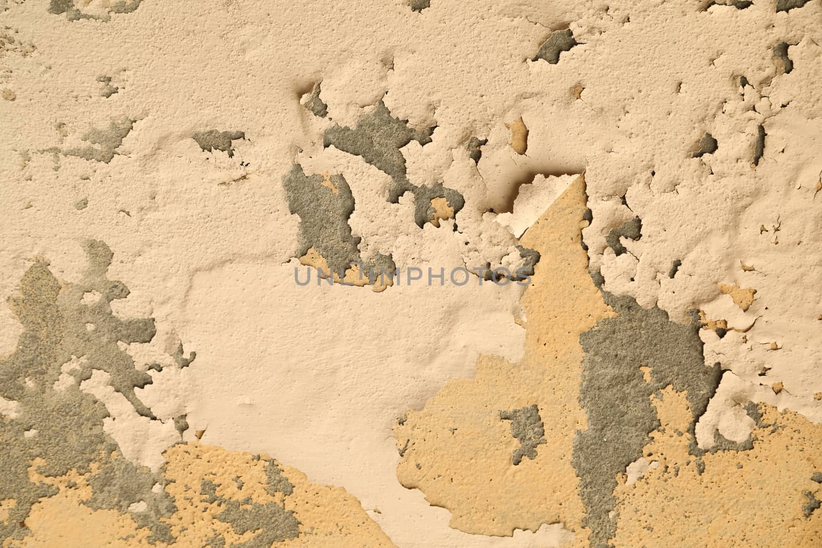 close up of old wall Texture