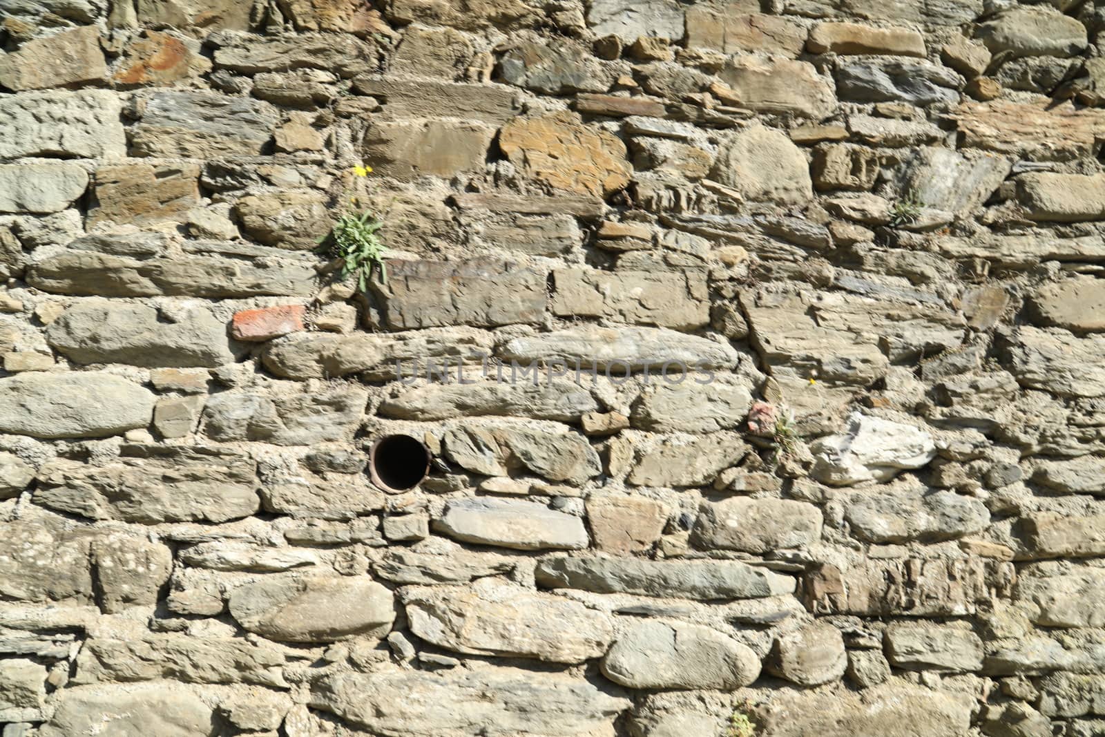close up of old wall Texture