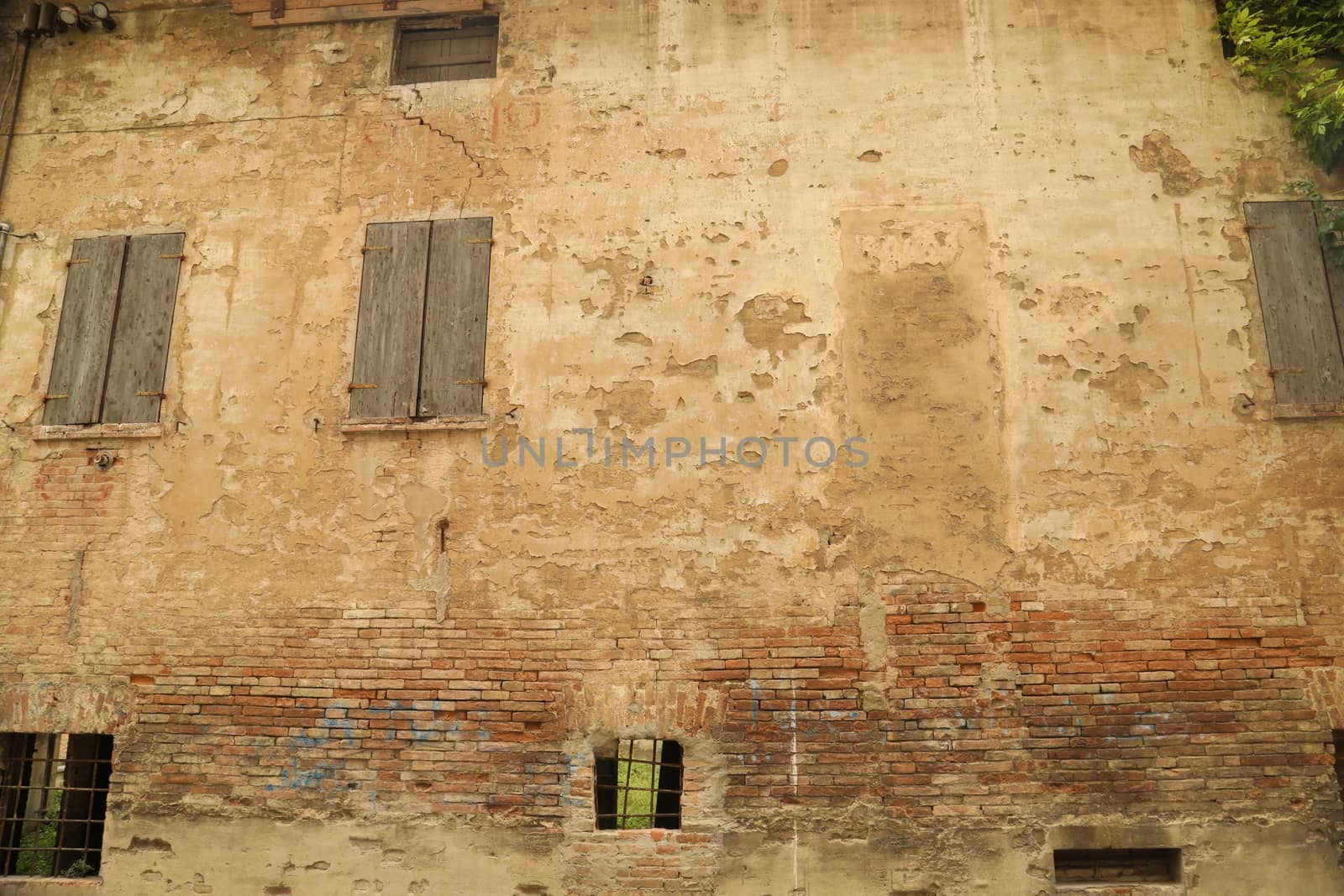 close up of old wall Texture