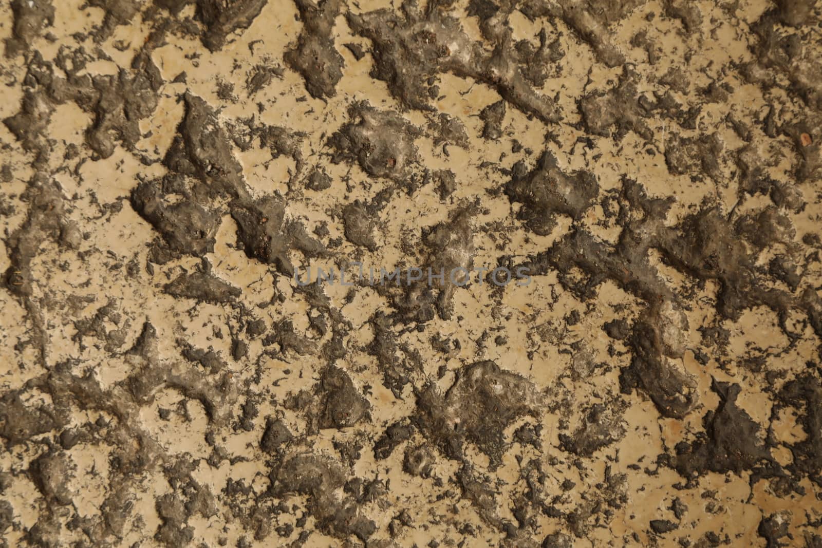 close up of old wall Texture