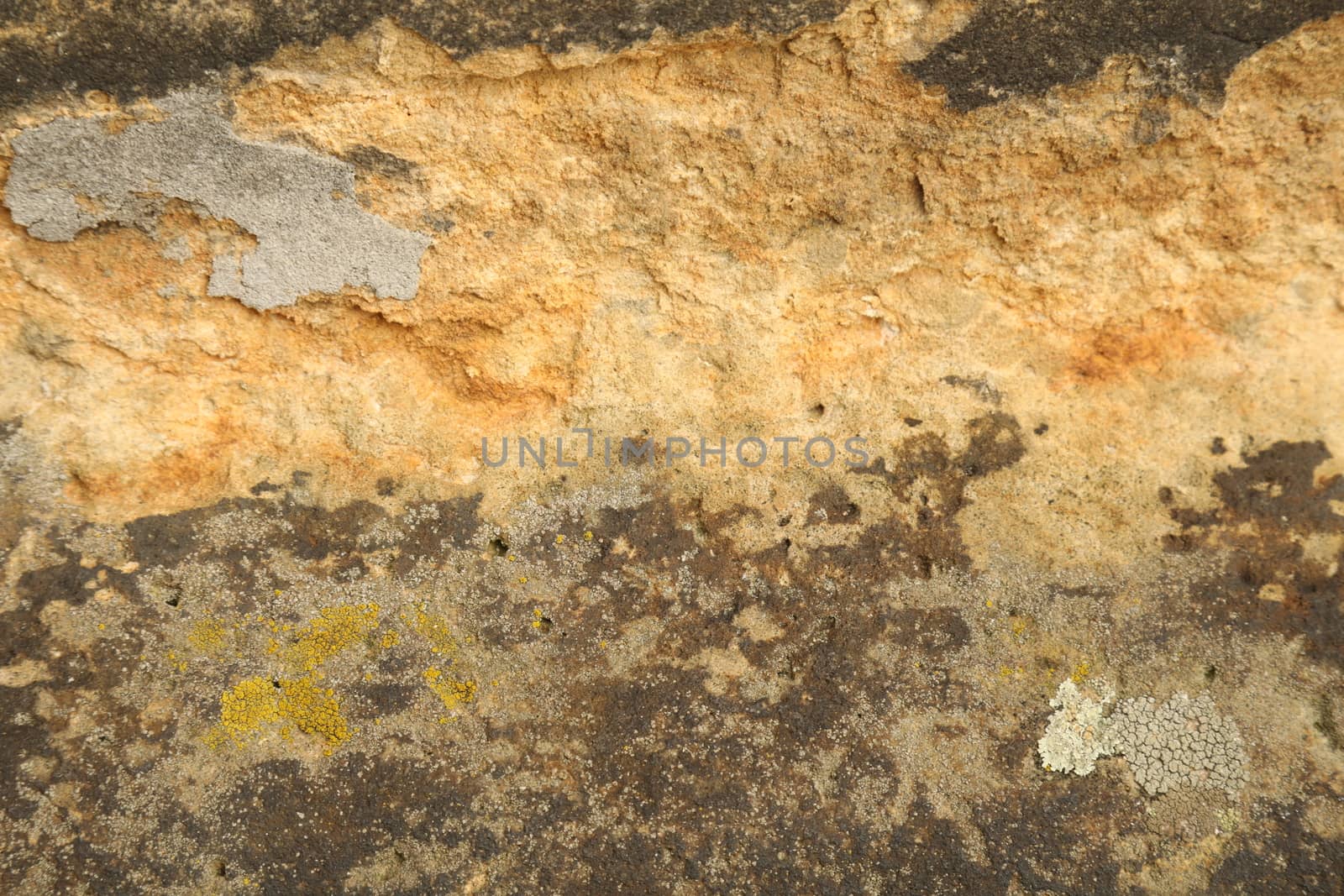 close up of old wall Texture
