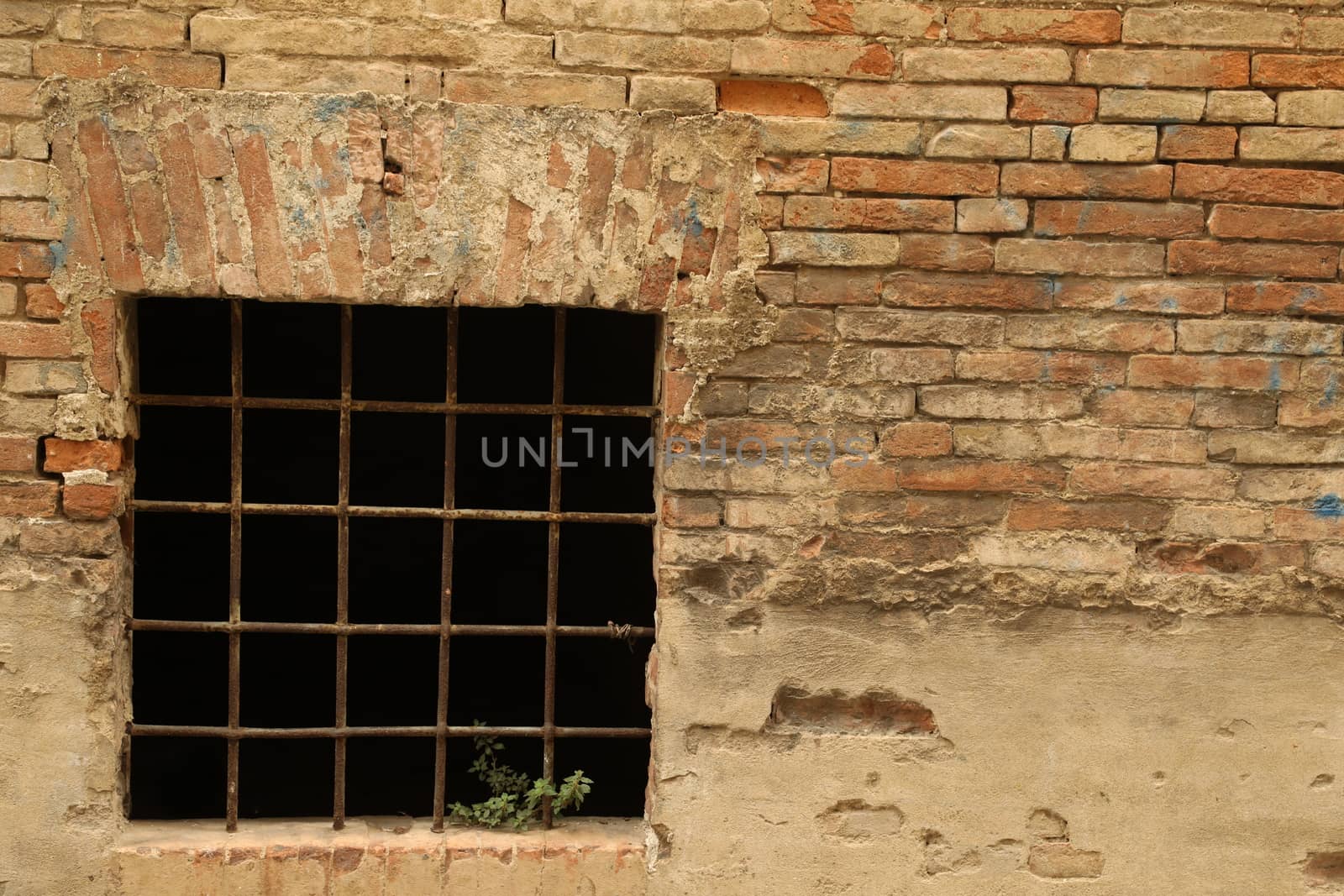 close up of old wall Texture