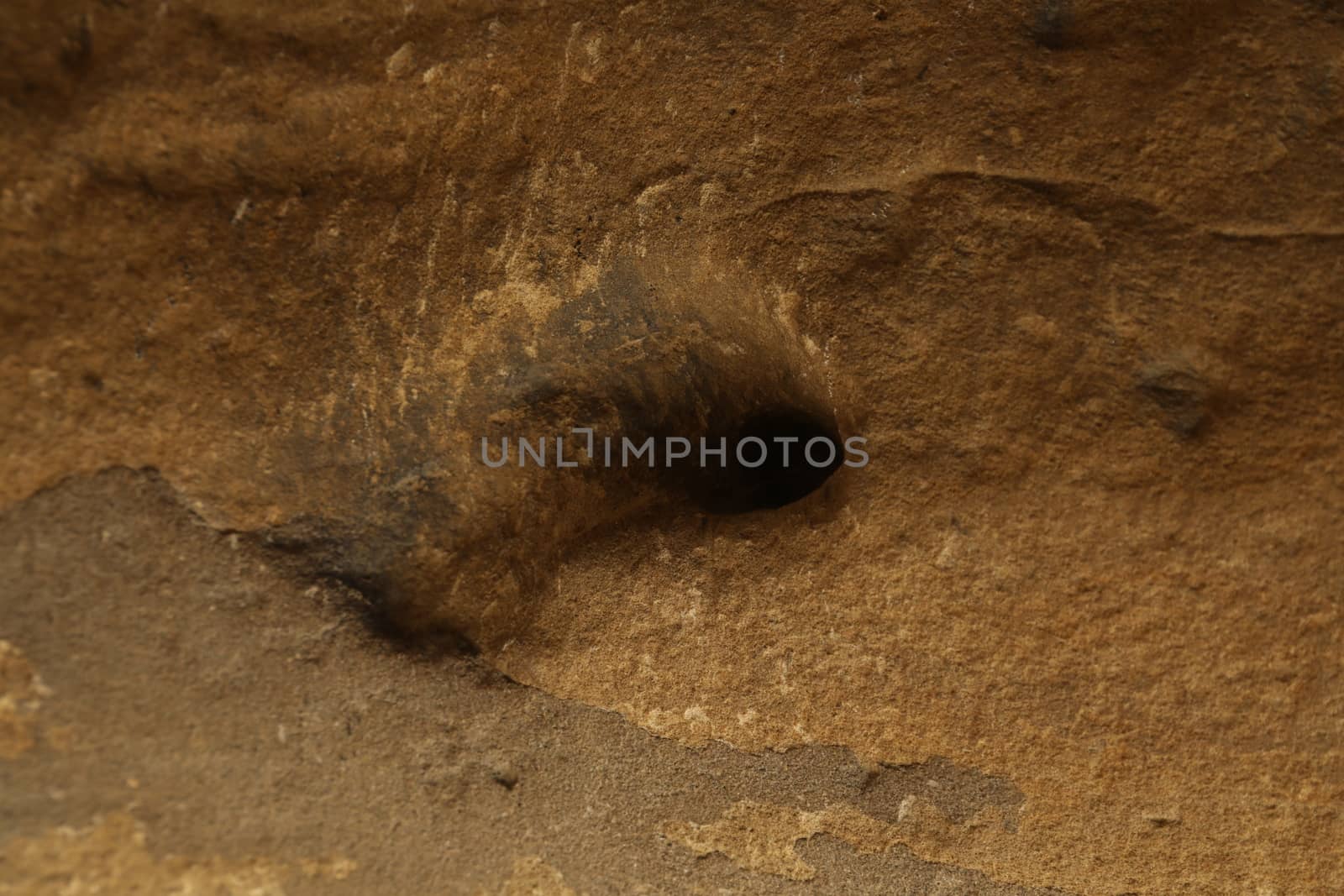 close up of old wall Texture