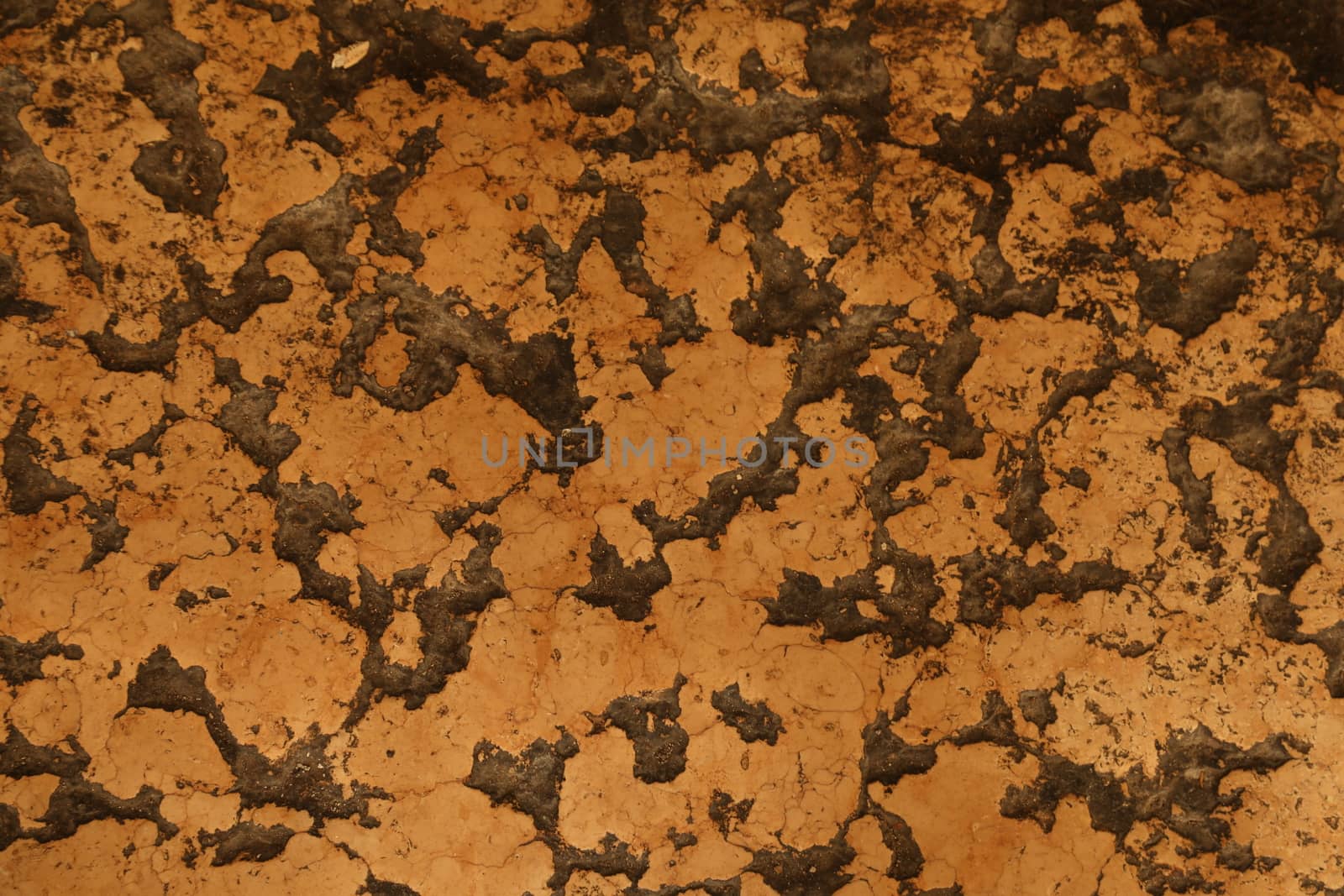 close up of old wall Texture