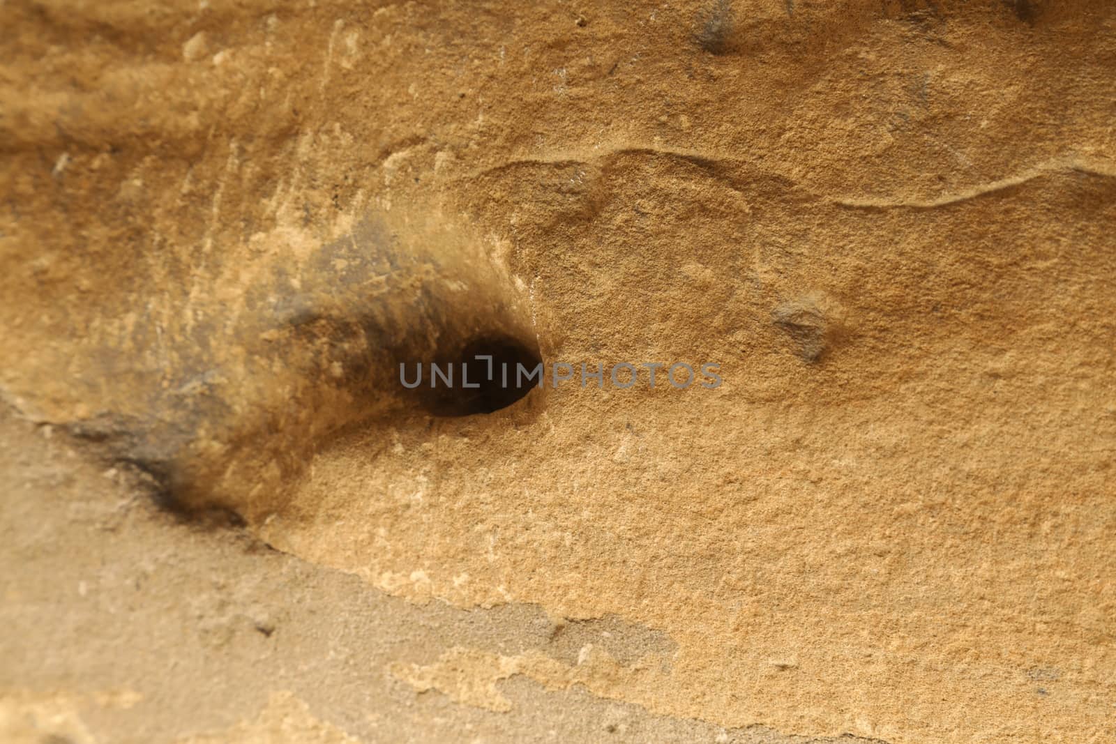 close up of old wall Texture