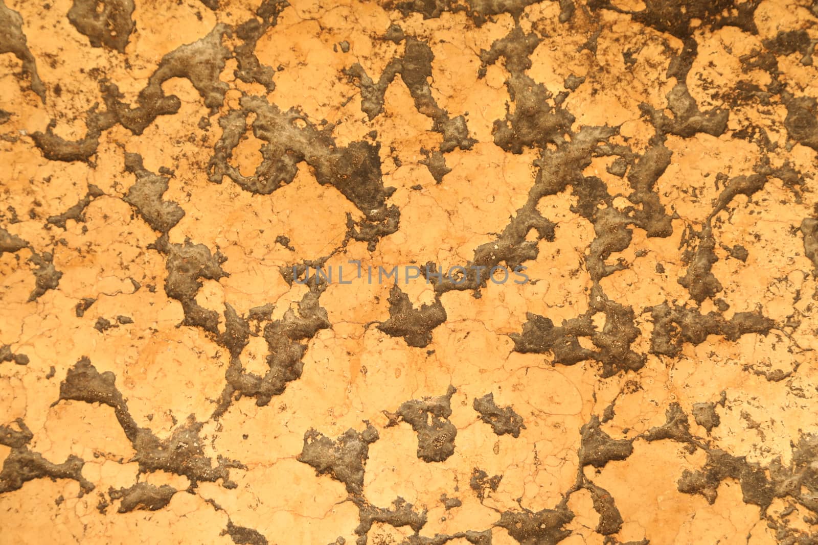 close up of old wall Texture