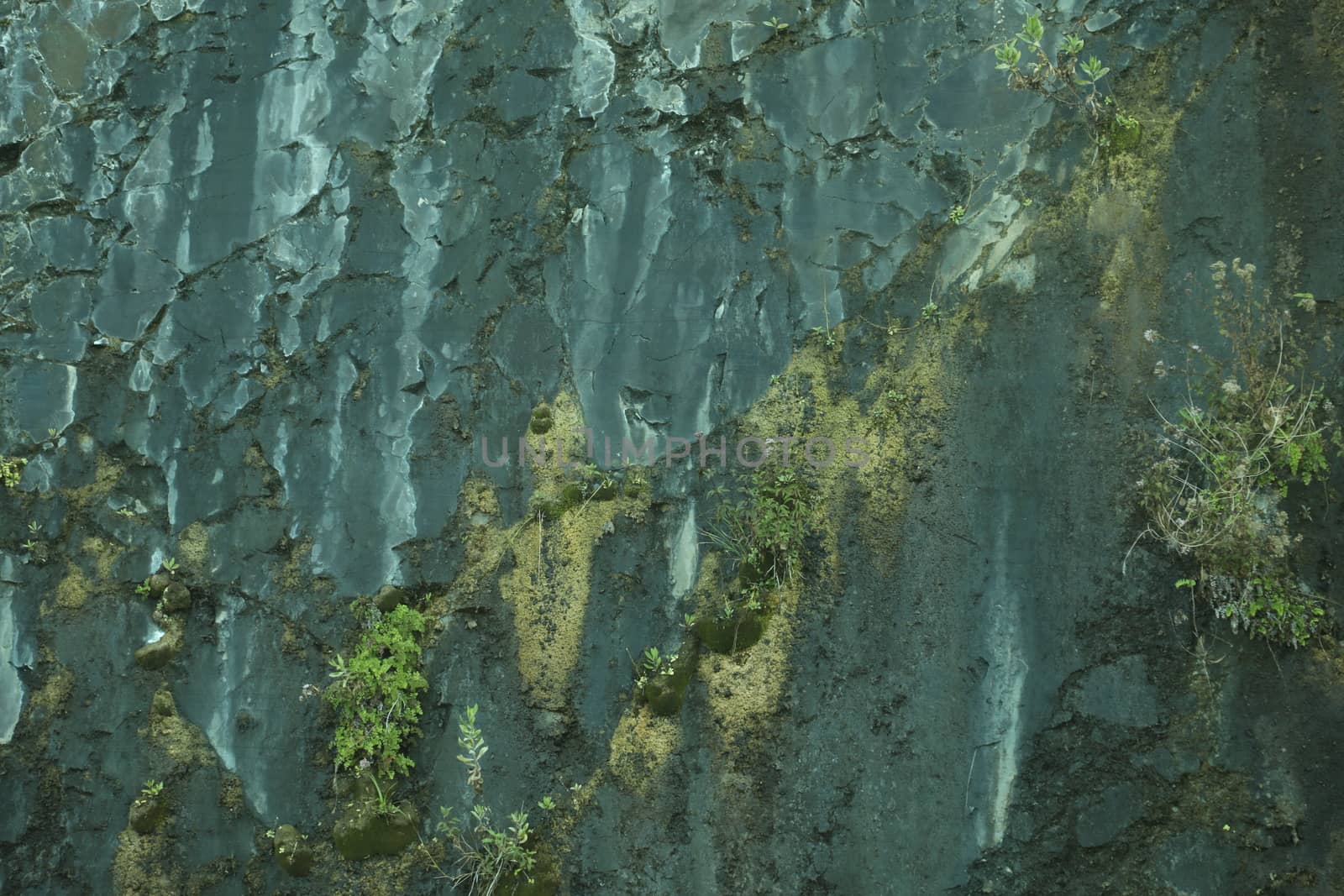 close up of old wall Texture