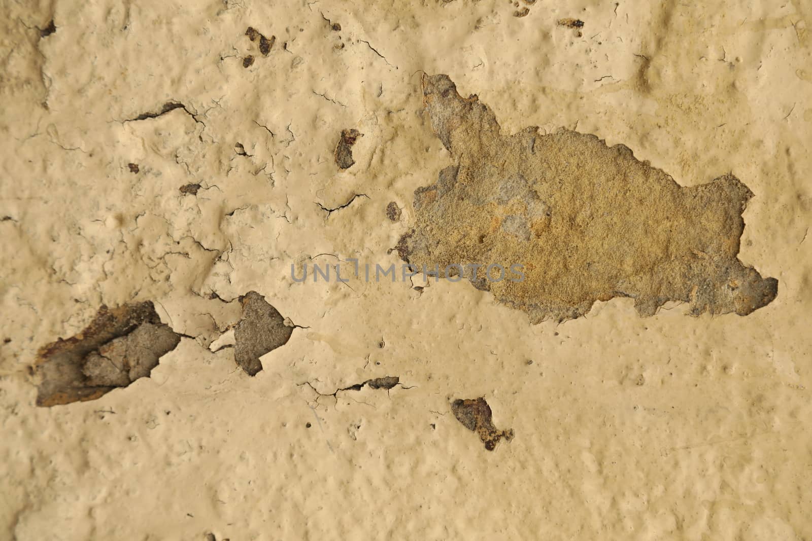 close up of old wall Texture
