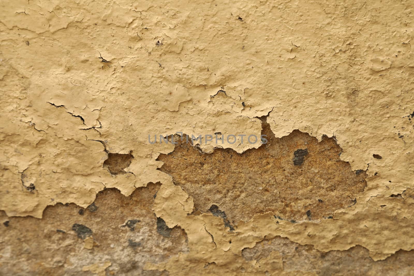 close up of old wall Texture