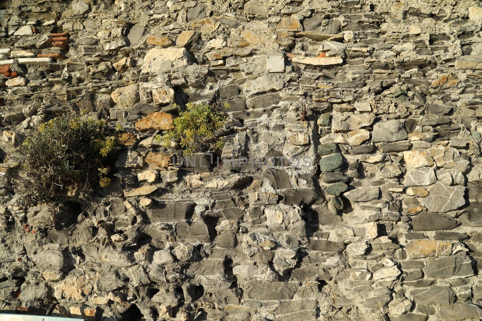 close up of old wall Texture