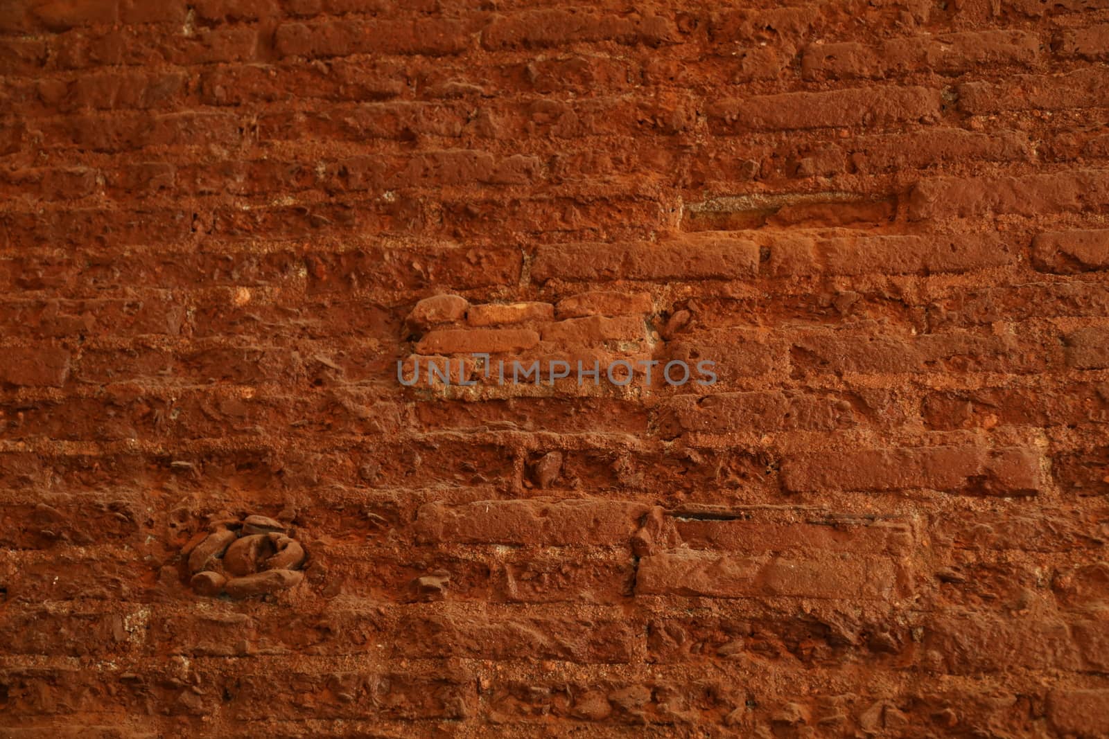 close up of old wall Texture