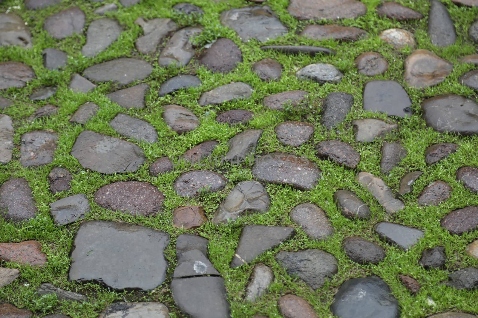 close up of old wall Texture